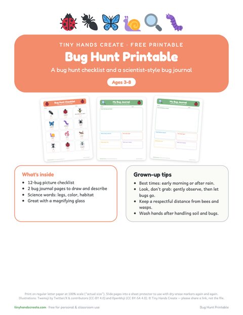 Bug Hunt Printable preview