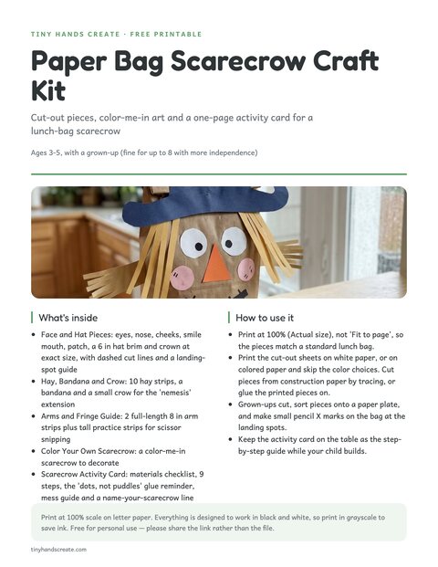 Paper Bag Scarecrow Craft Kit preview