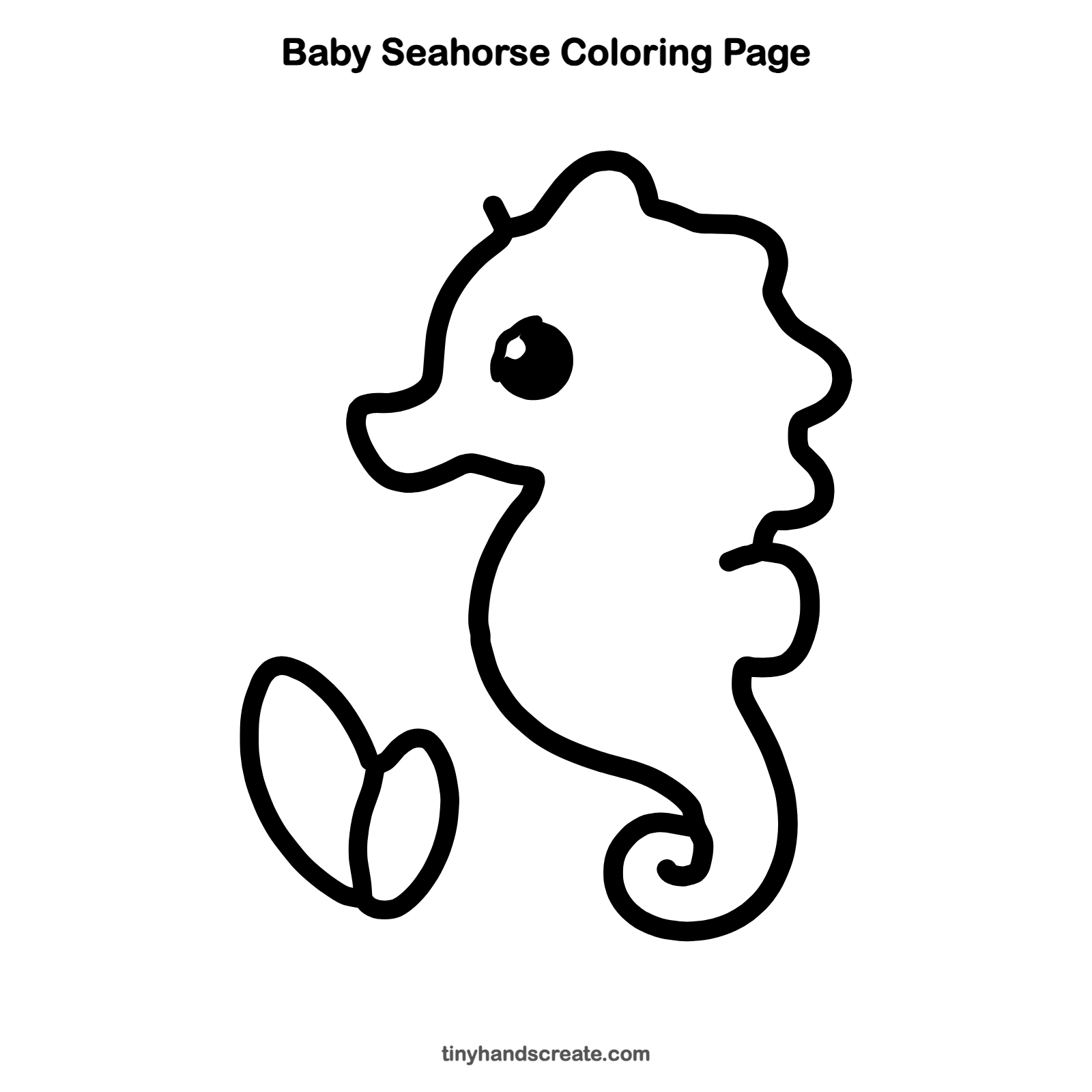 Free printable baby seahorse coloring page for kids
