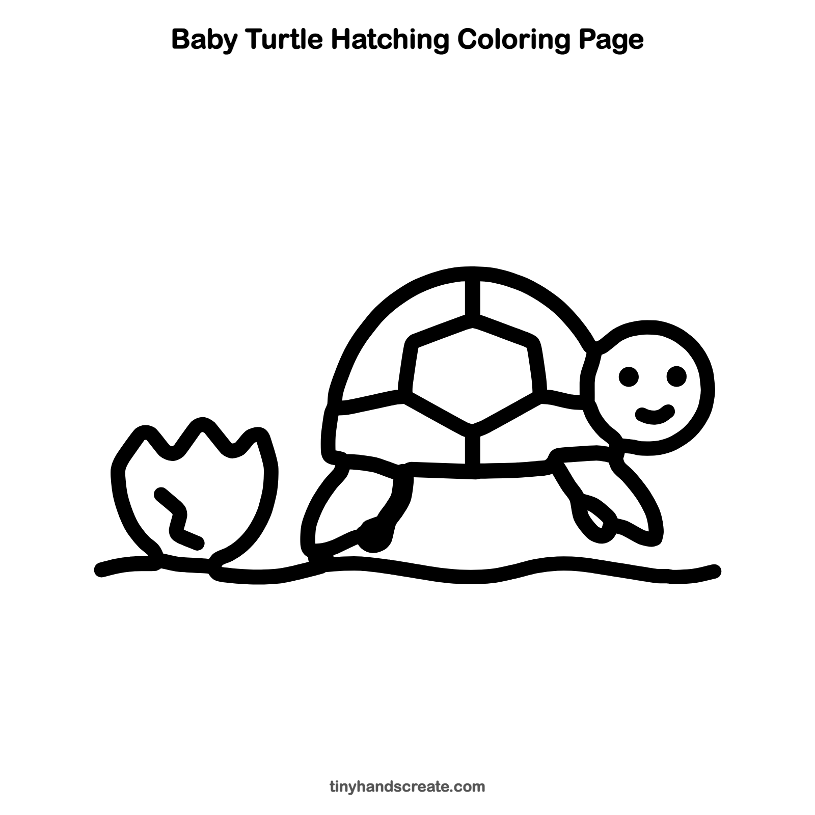 Free printable baby turtle hatching coloring page for kids