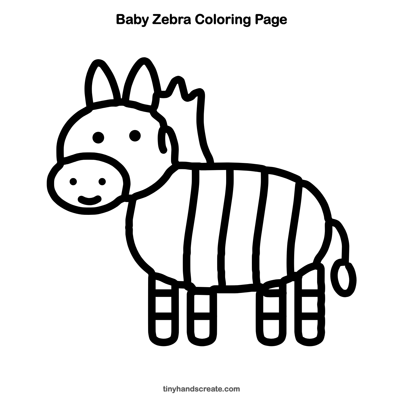 Free printable baby zebra coloring page for kids