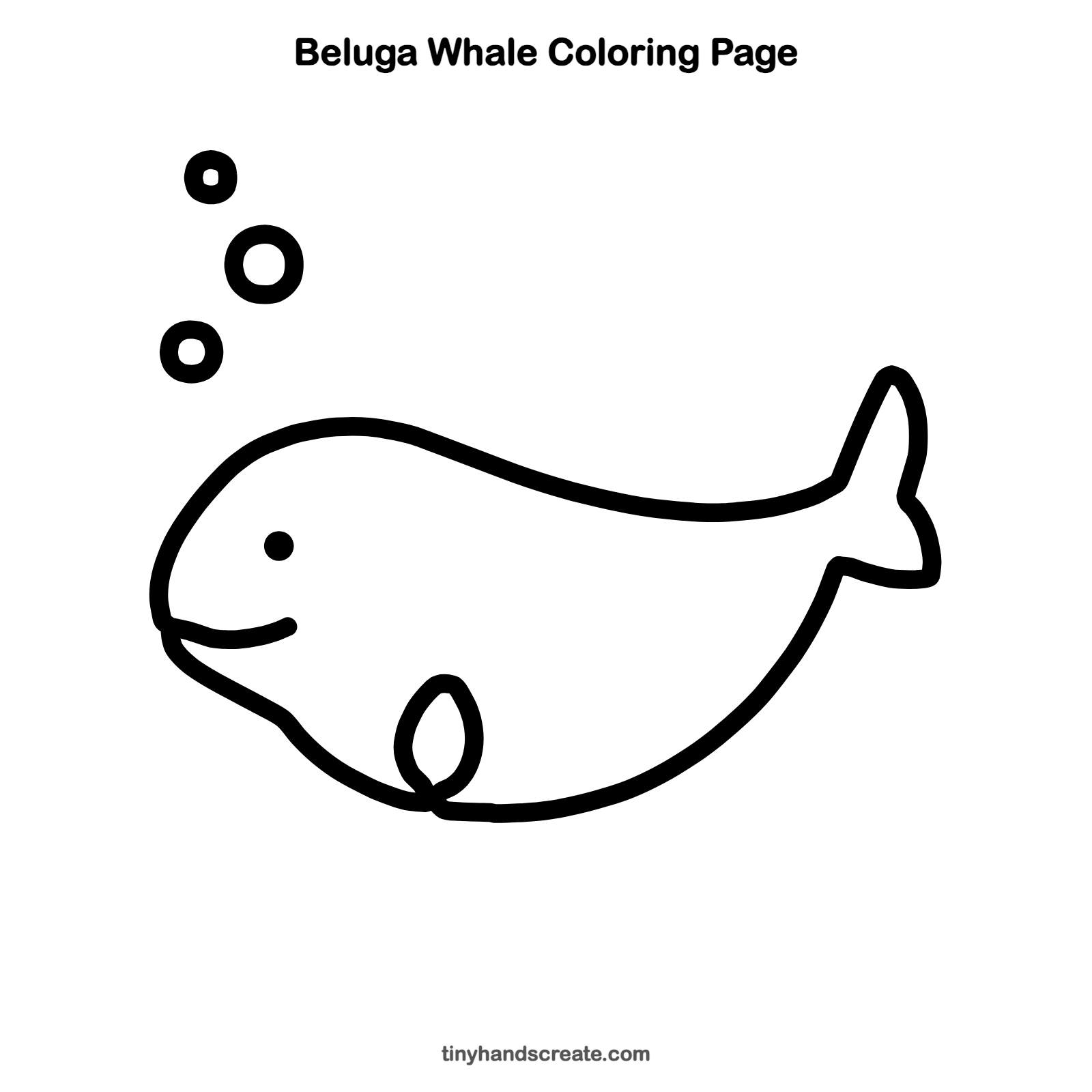 Free printable beluga whale coloring page for kids
