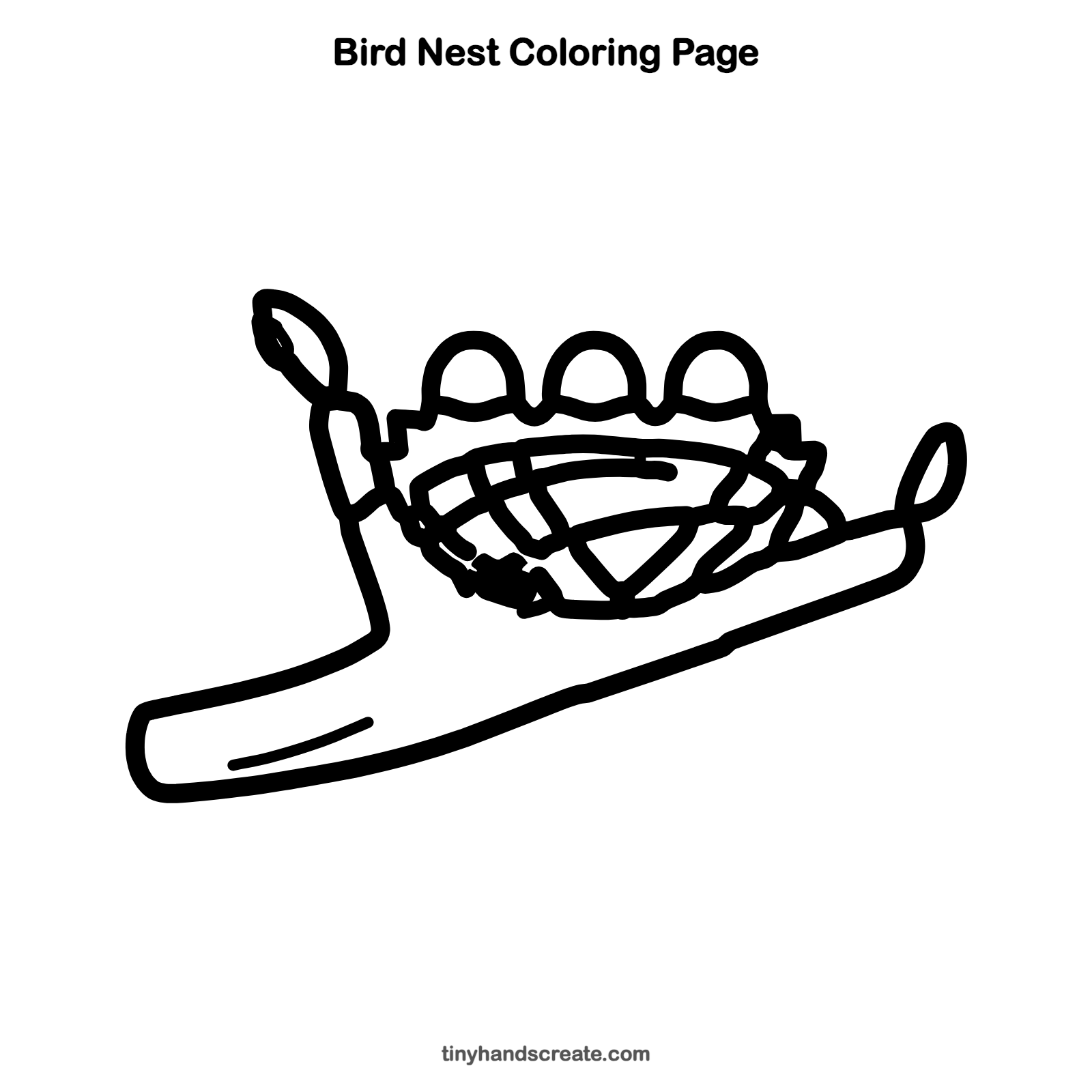 Free printable bird nest coloring page for kids