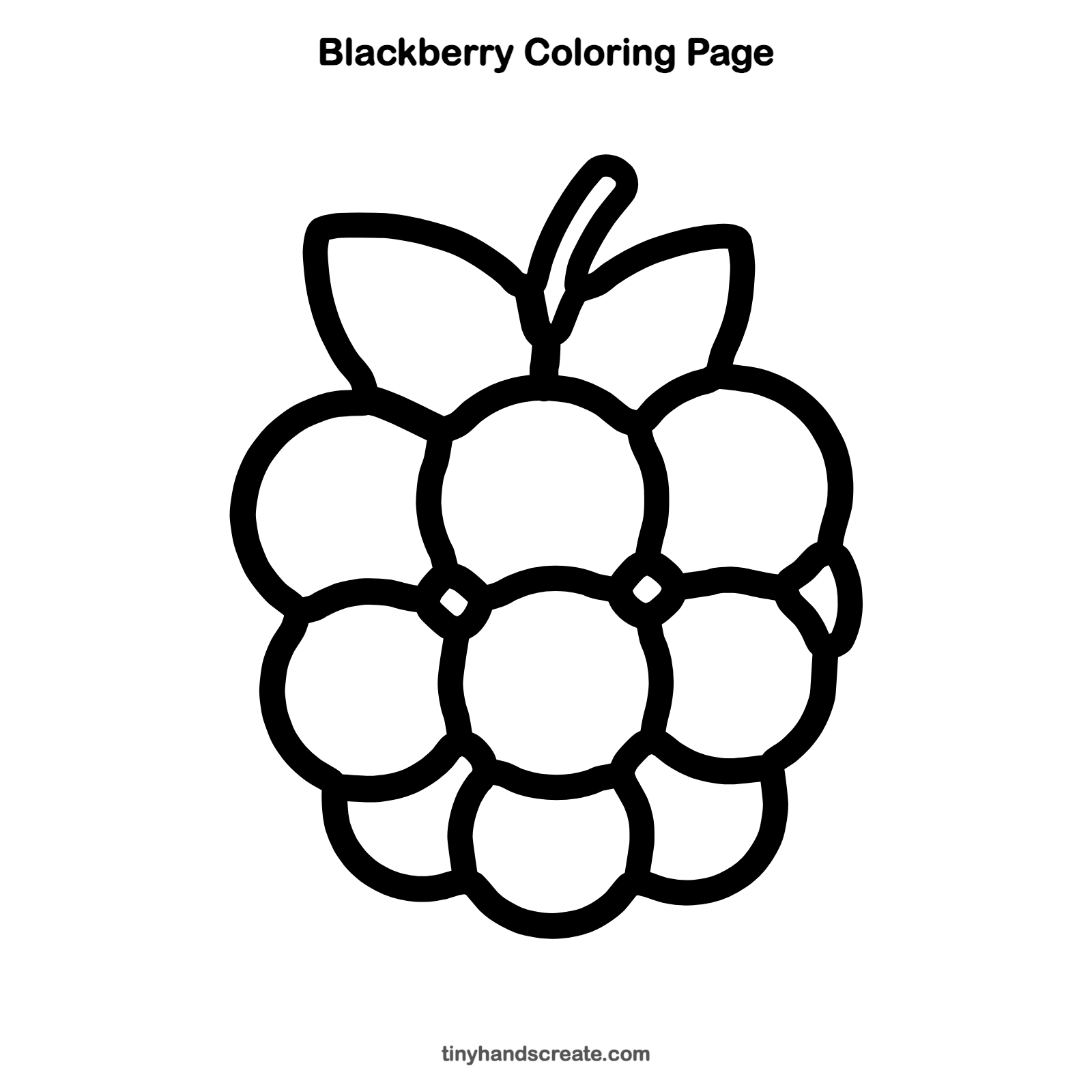 Free printable blackberry coloring page for kids