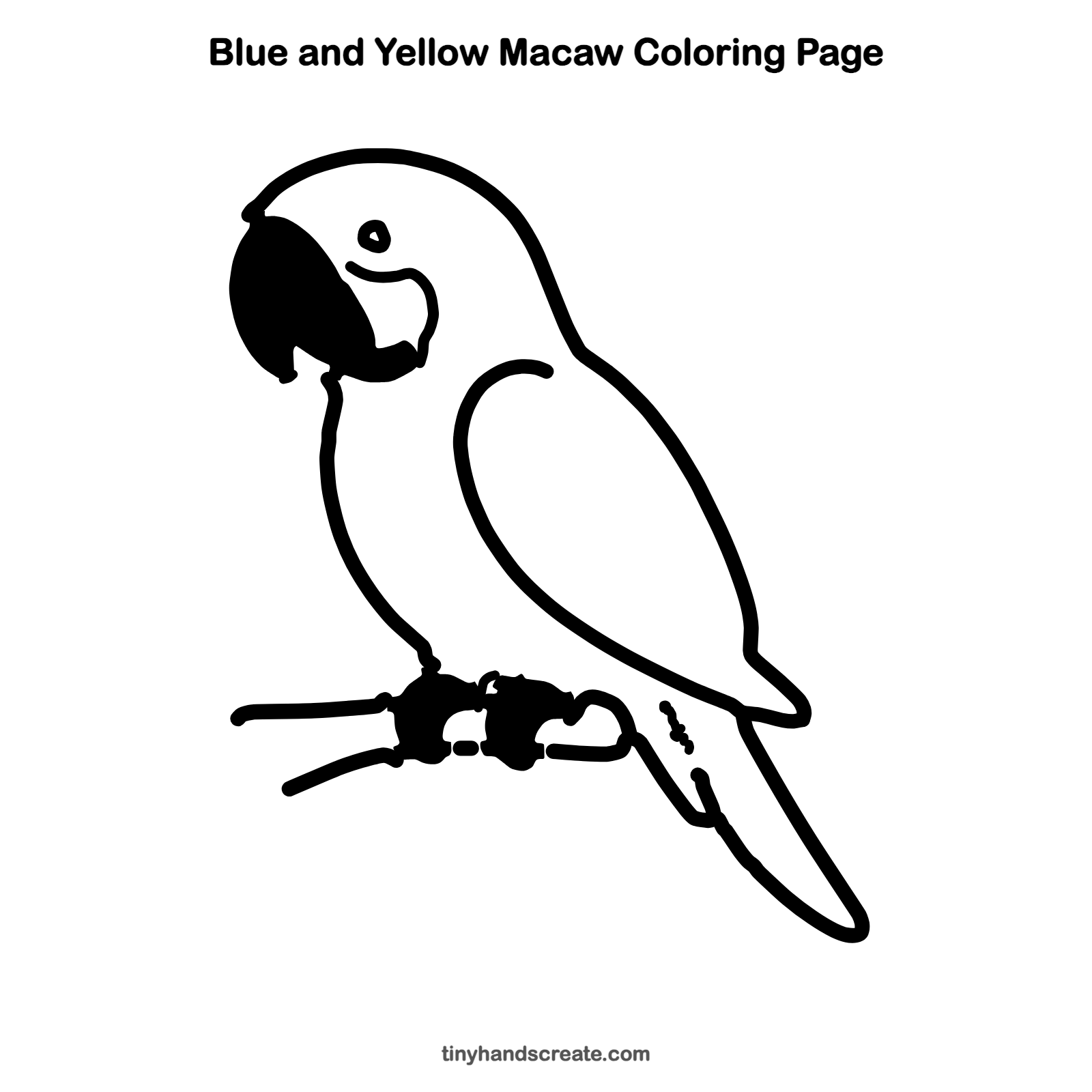 Free printable blue and yellow macaw coloring page for kids