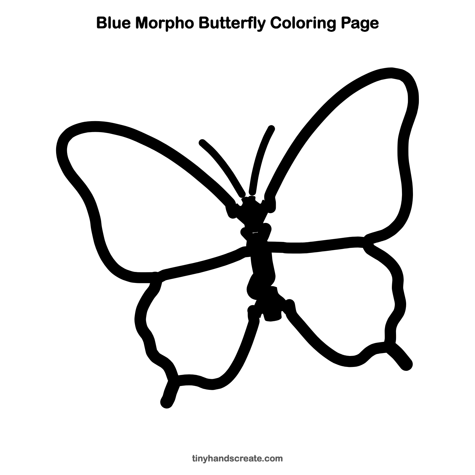 Free printable blue morpho butterfly coloring page for kids