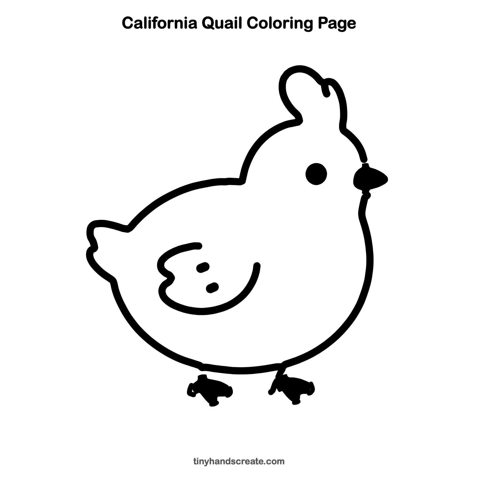 Free printable California quail coloring page for kids