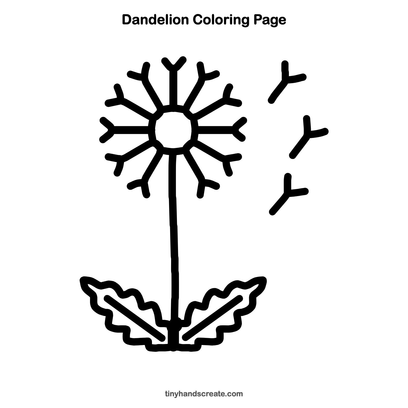Free printable dandelion coloring page for kids