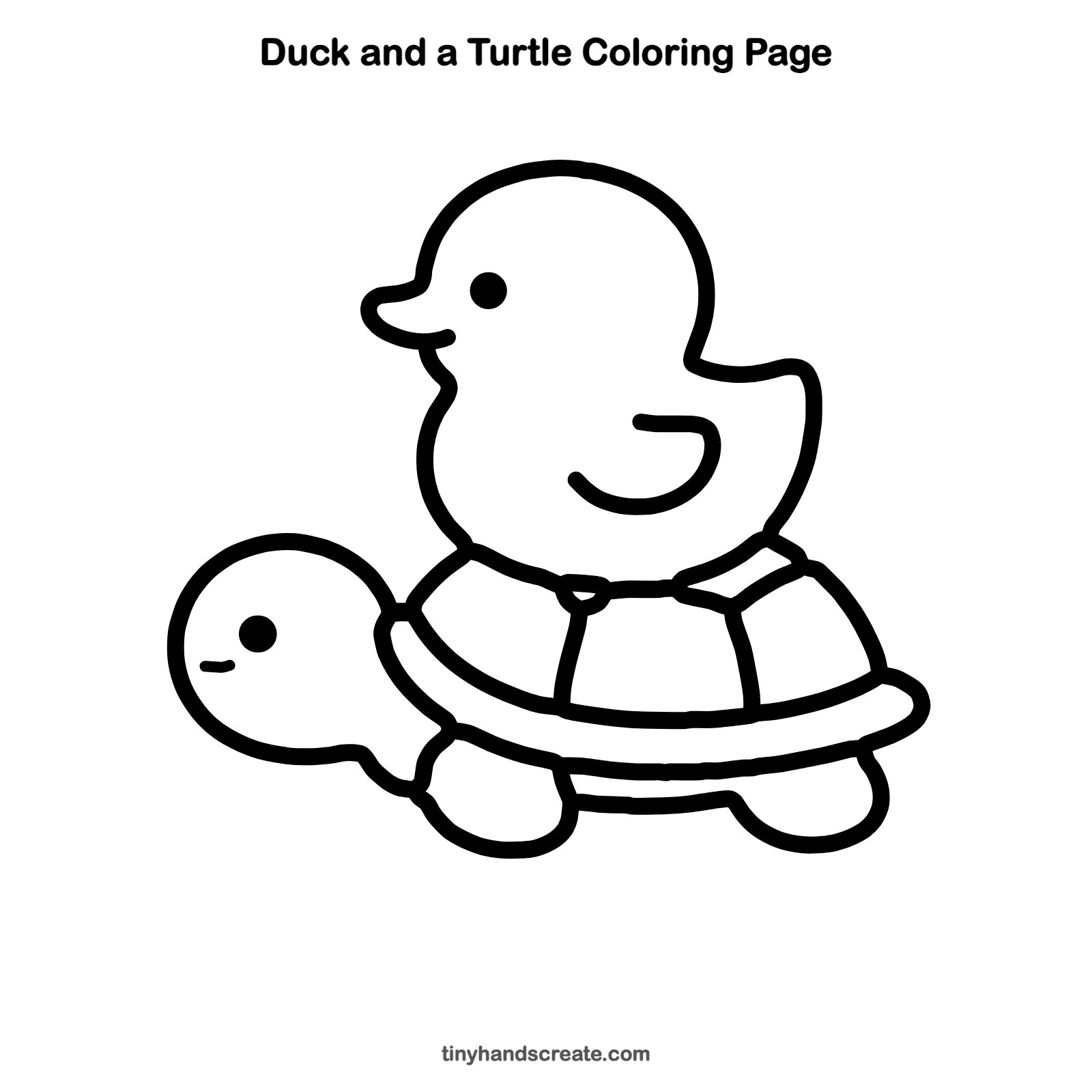 Free printable duck and a turtle coloring page for kids