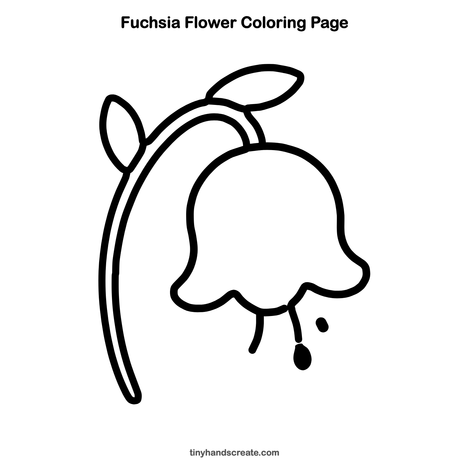 Free printable fuchsia flower coloring page for kids