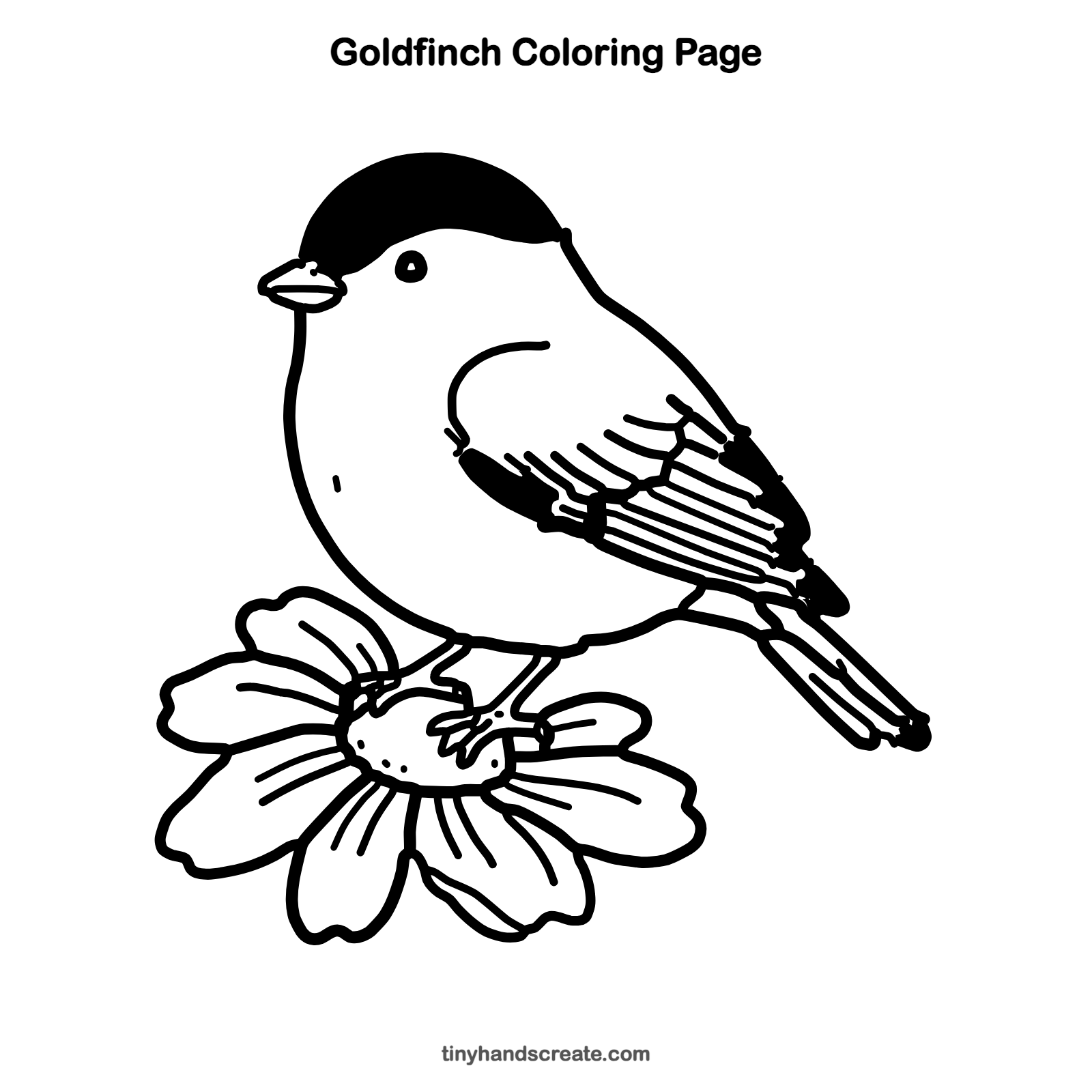 Free printable goldfinch coloring page for kids