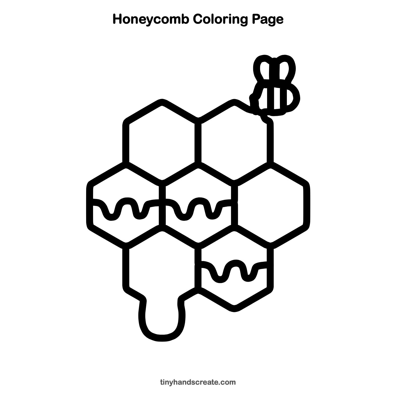Free printable honeycomb coloring page for kids