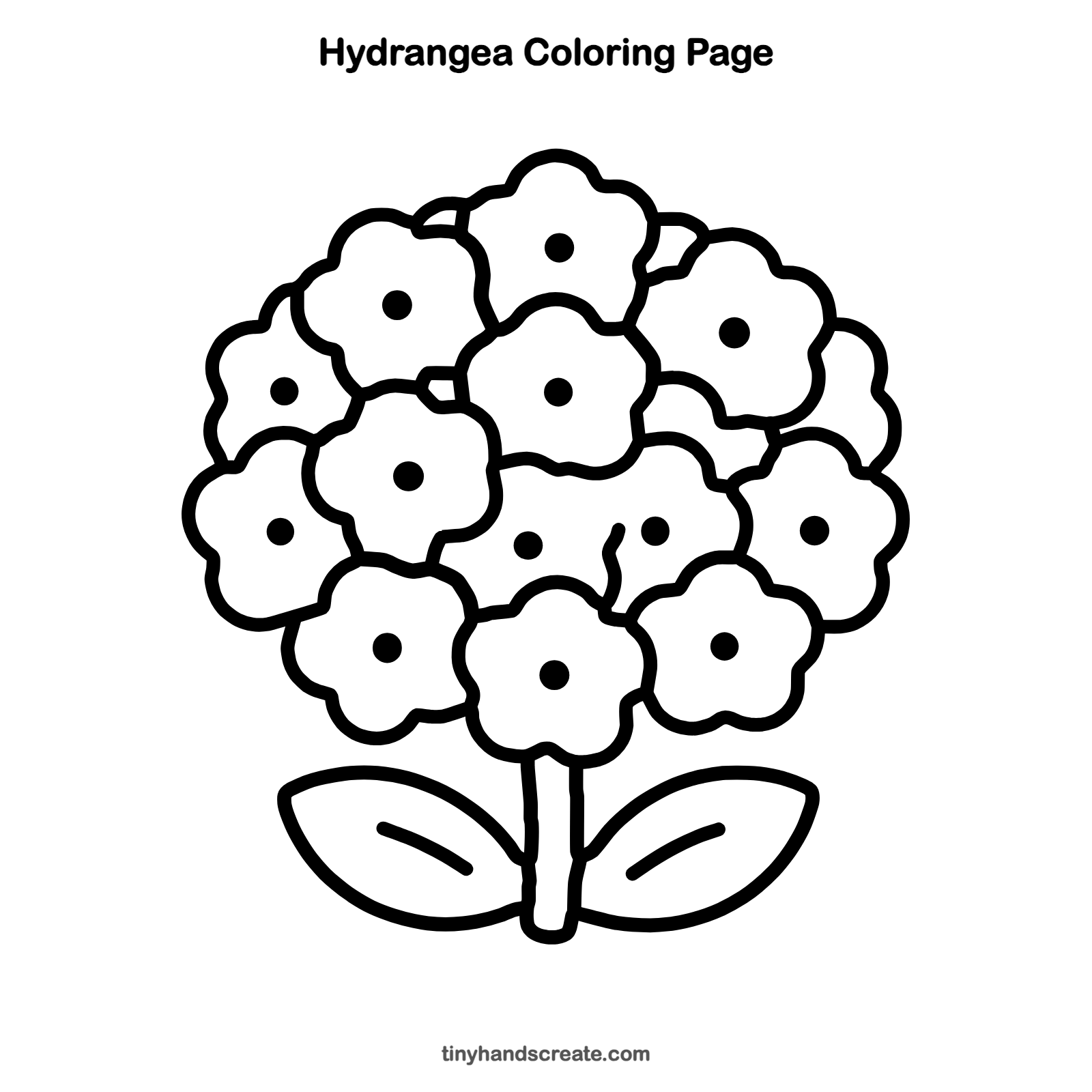 Free printable hydrangea coloring page for kids