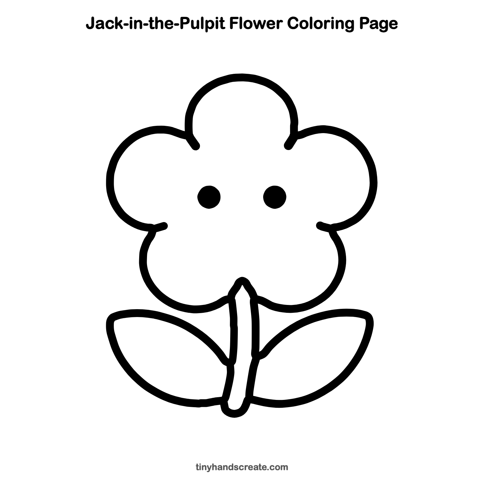 Free printable jack-in-the-pulpit flower coloring page for kids
