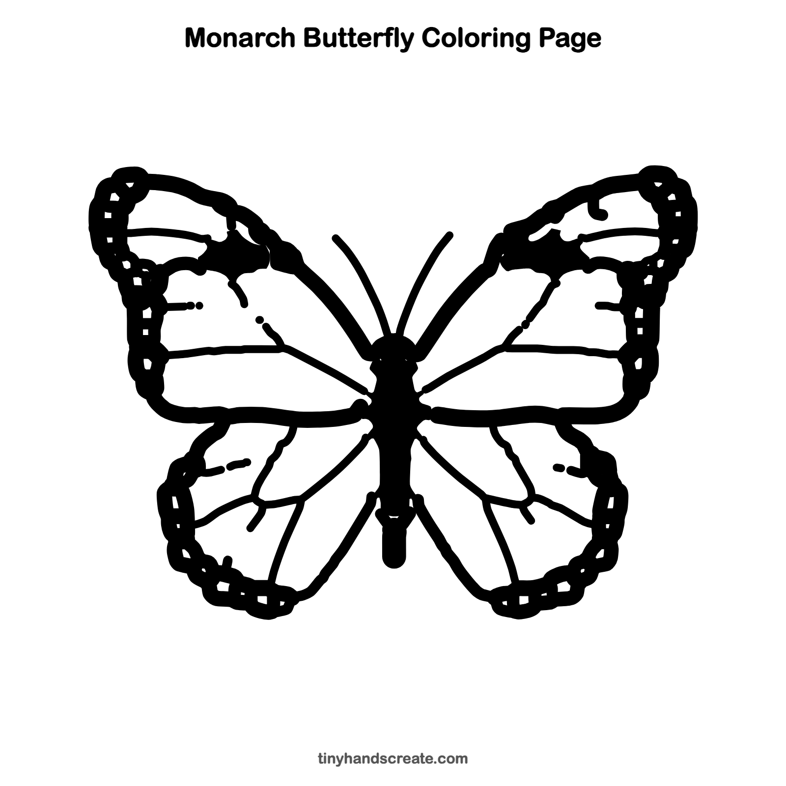 Free printable monarch butterfly coloring page for kids