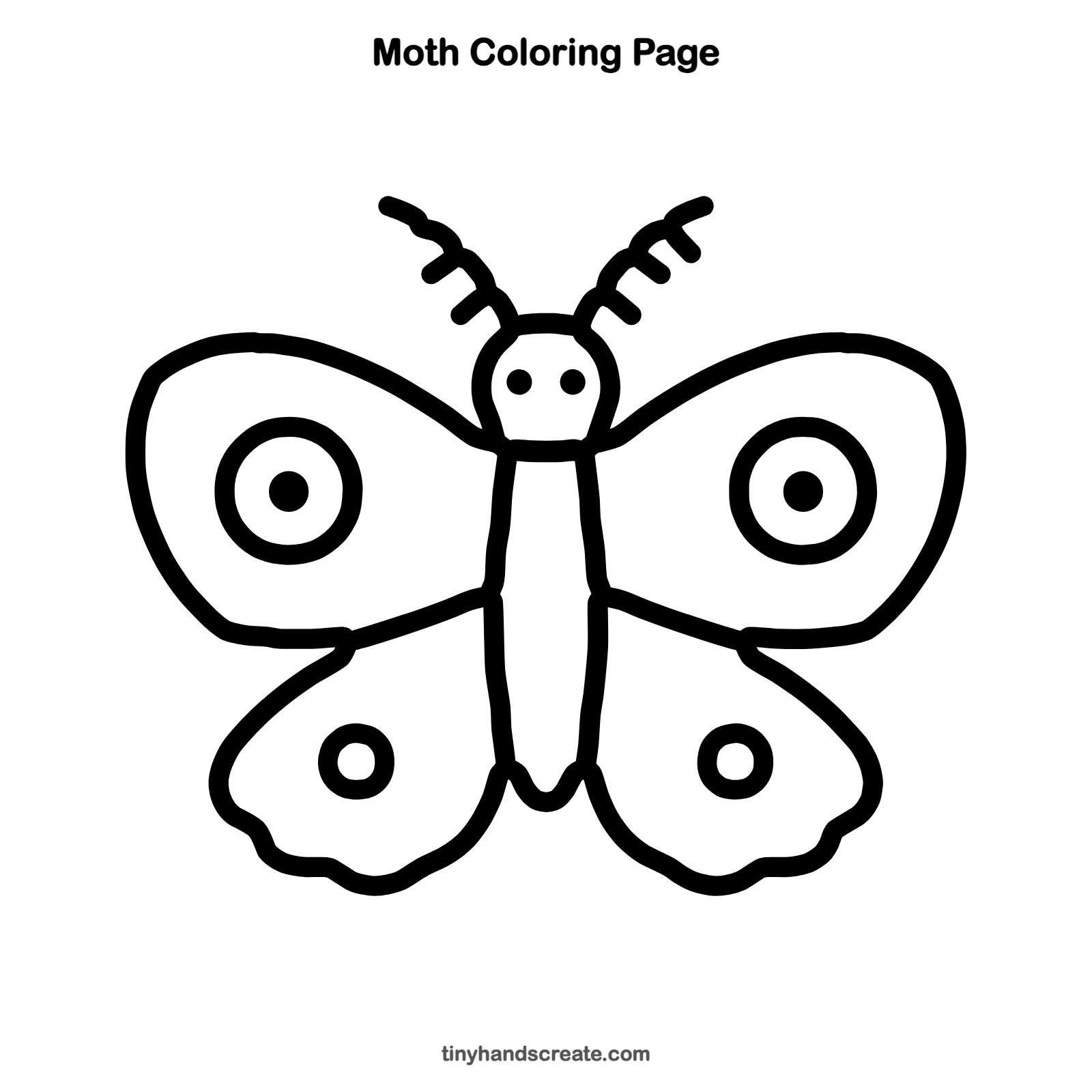 Free printable moth coloring page for kids