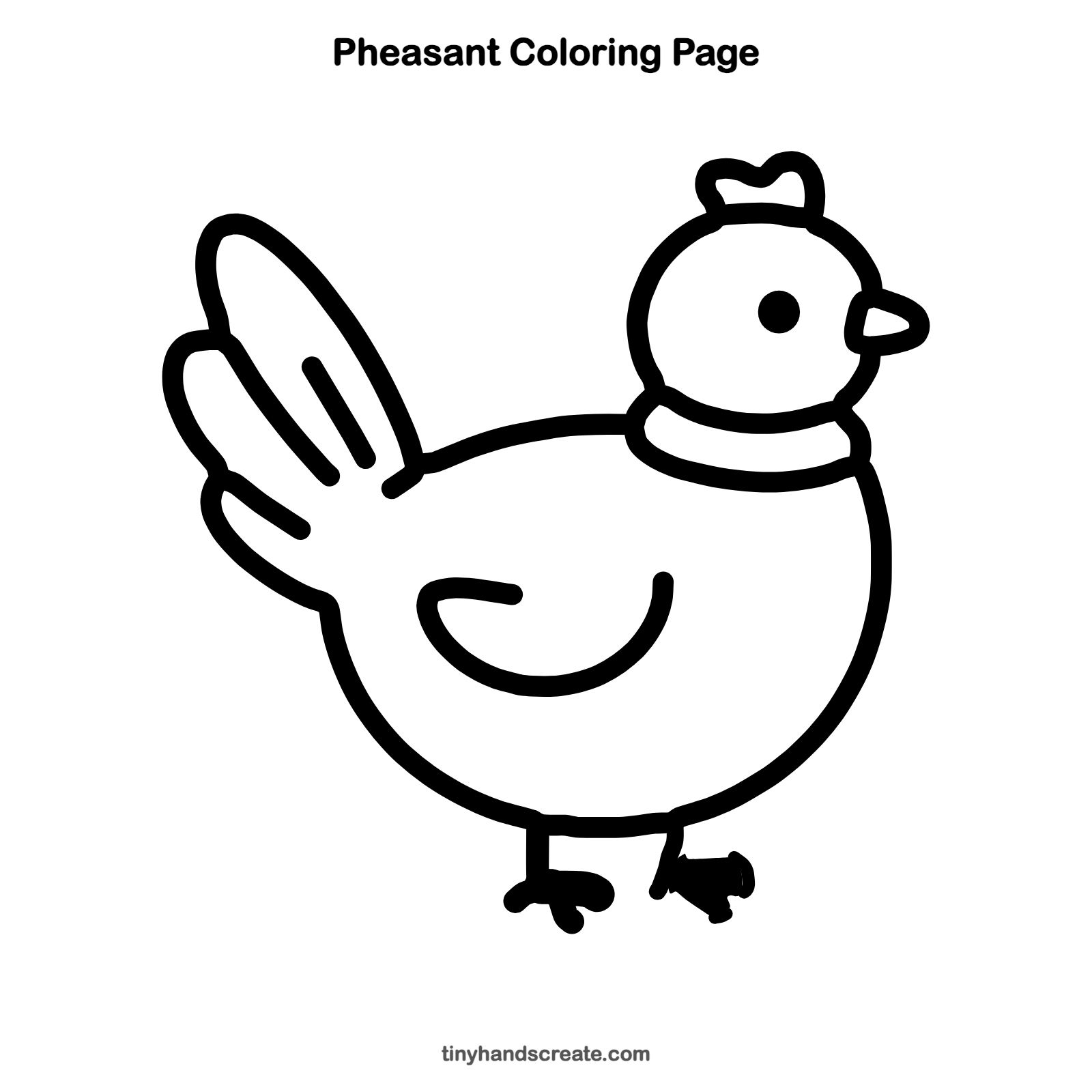 Simple Feather Drawing How to Draw a Pheasant: Easy Step by Step for Kids