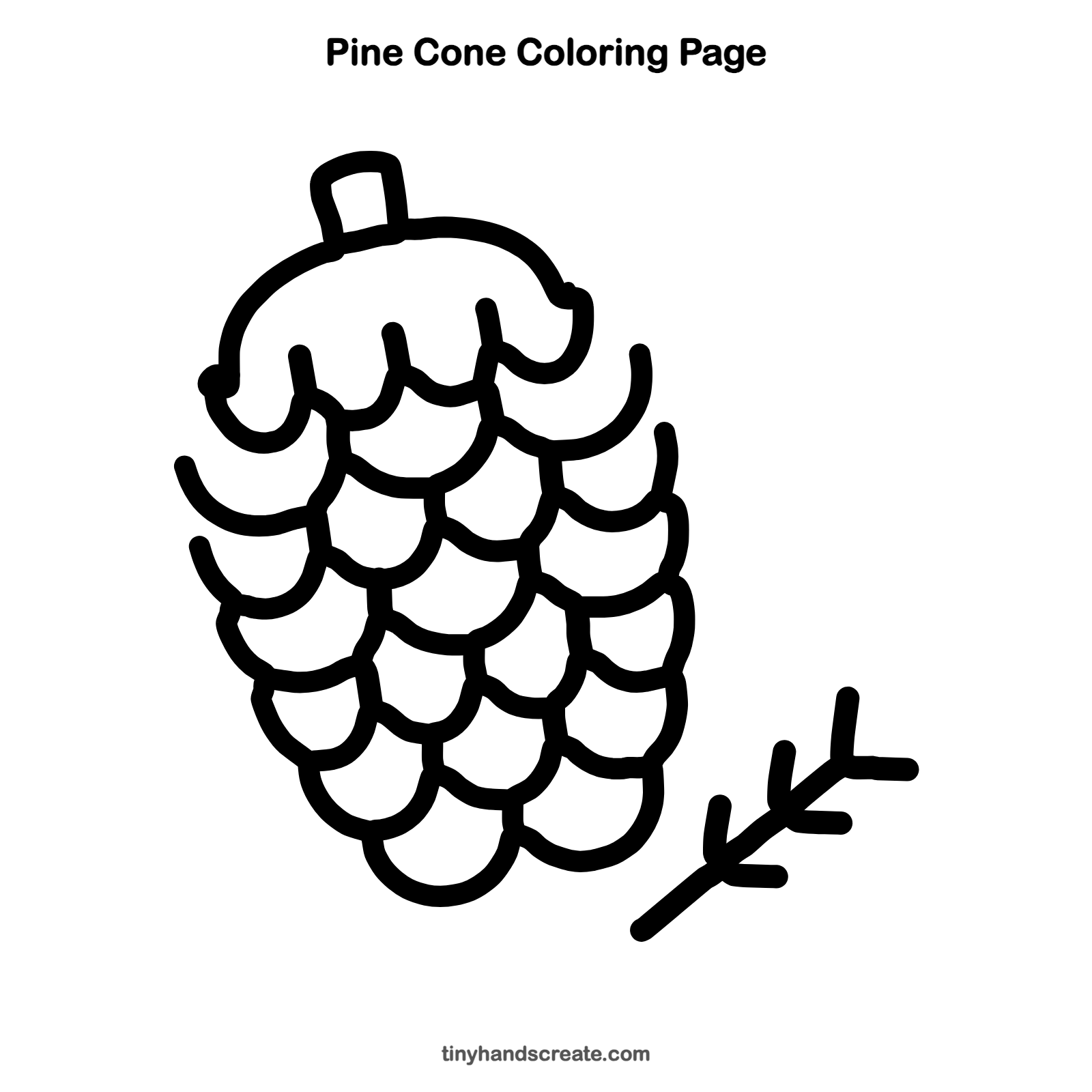 Free printable pine cone coloring page for kids