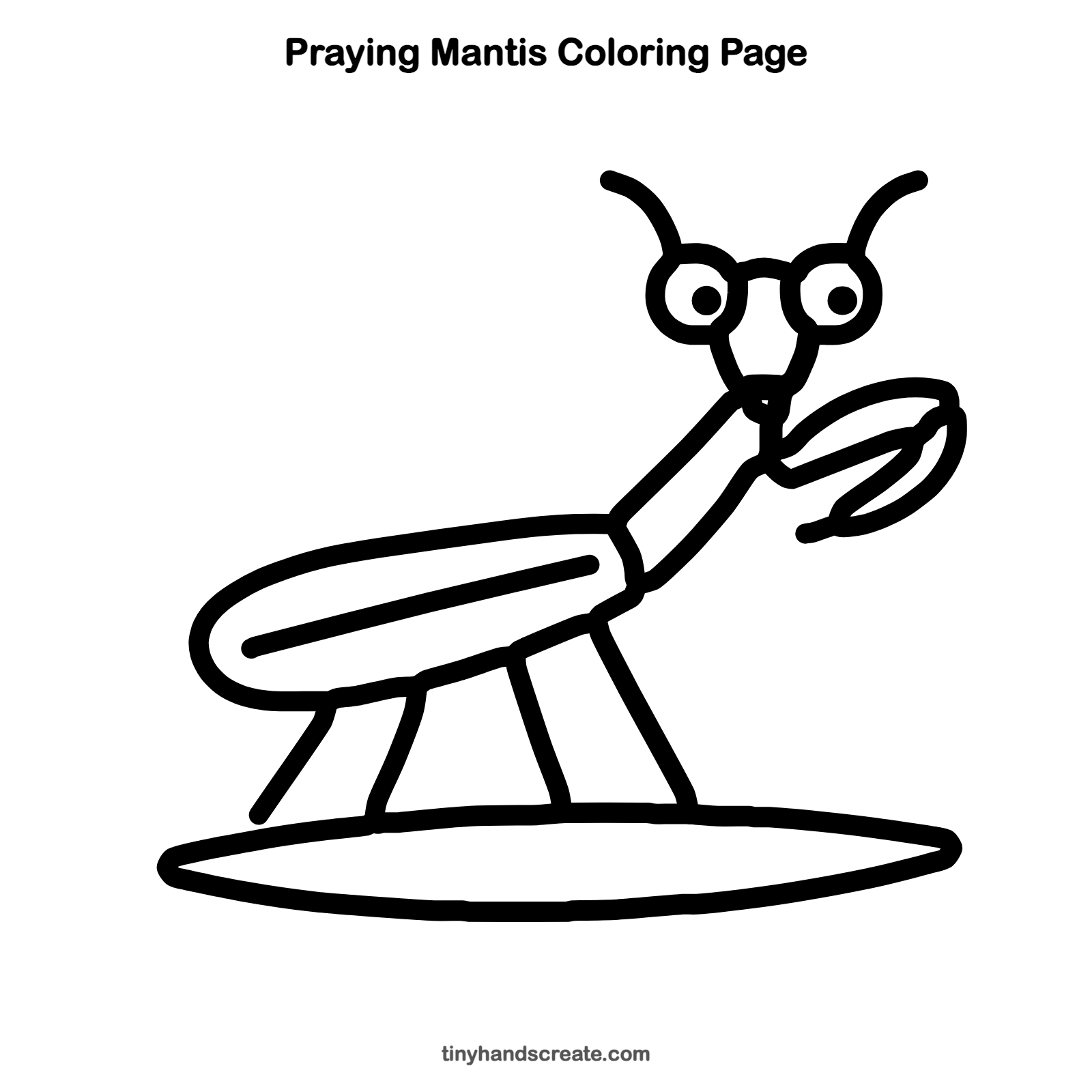Free printable praying mantis coloring page for kids
