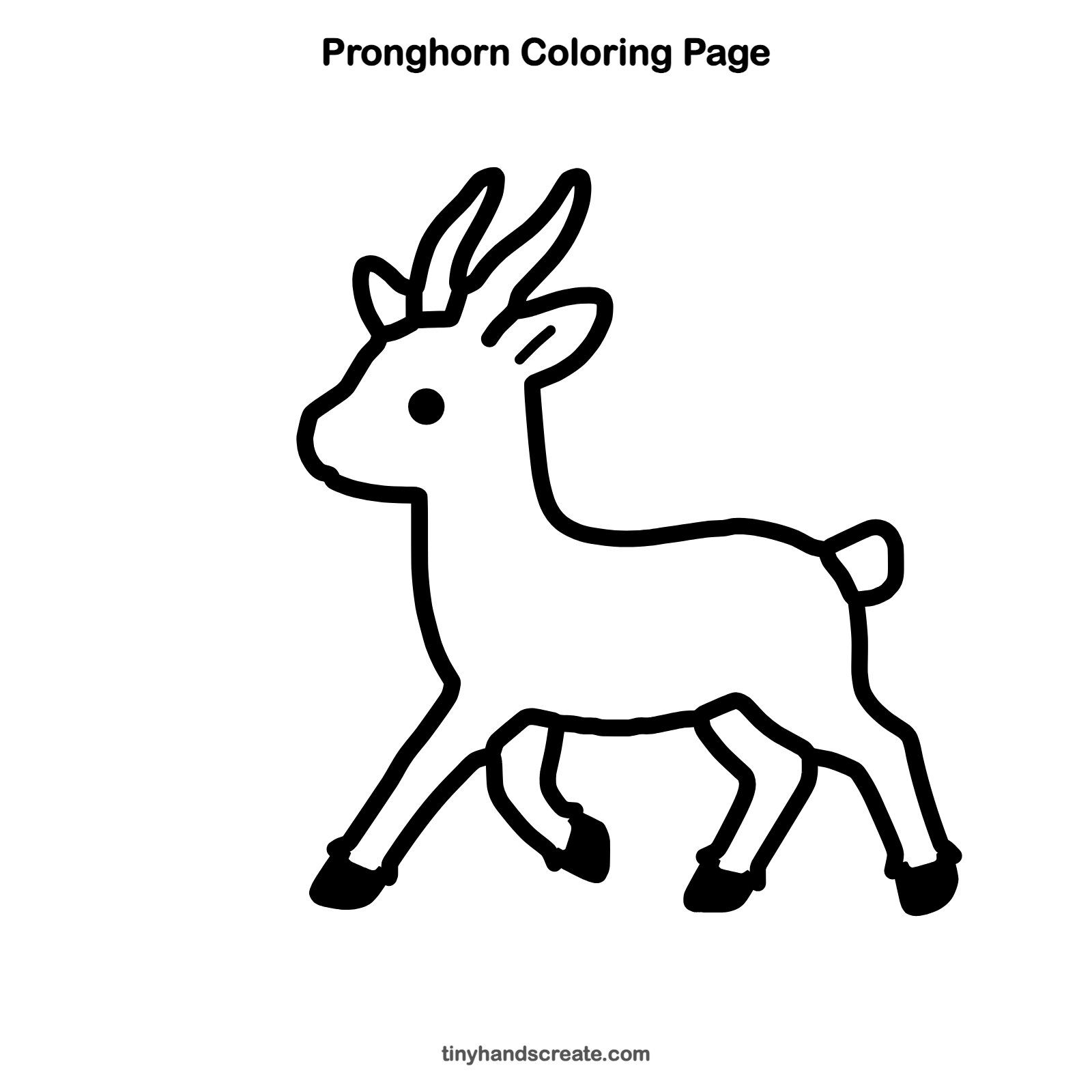 Free printable pronghorn coloring page for kids