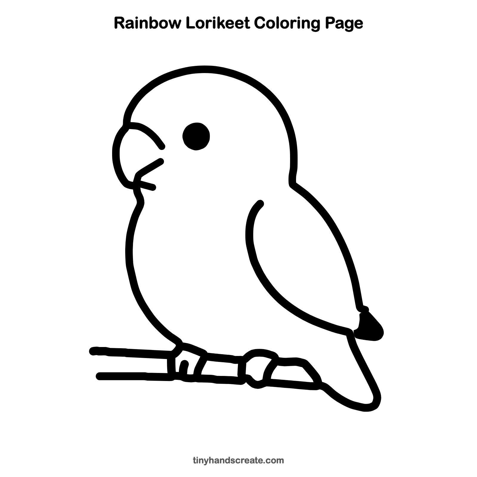 Free printable rainbow lorikeet coloring page for kids