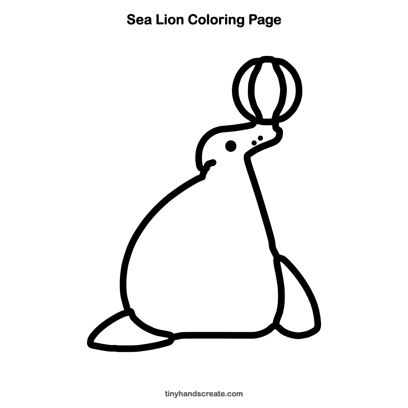 Free printable sea lion coloring page for kids