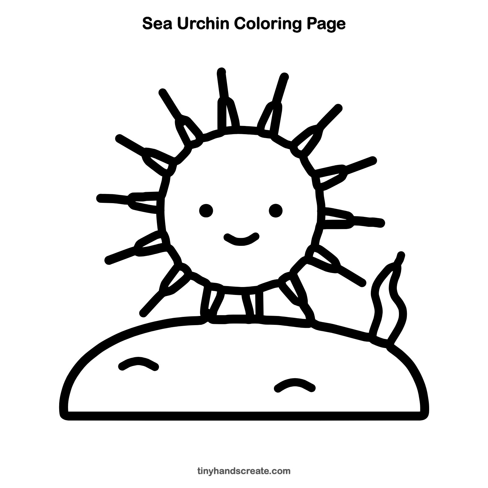 Free printable sea urchin coloring page for kids