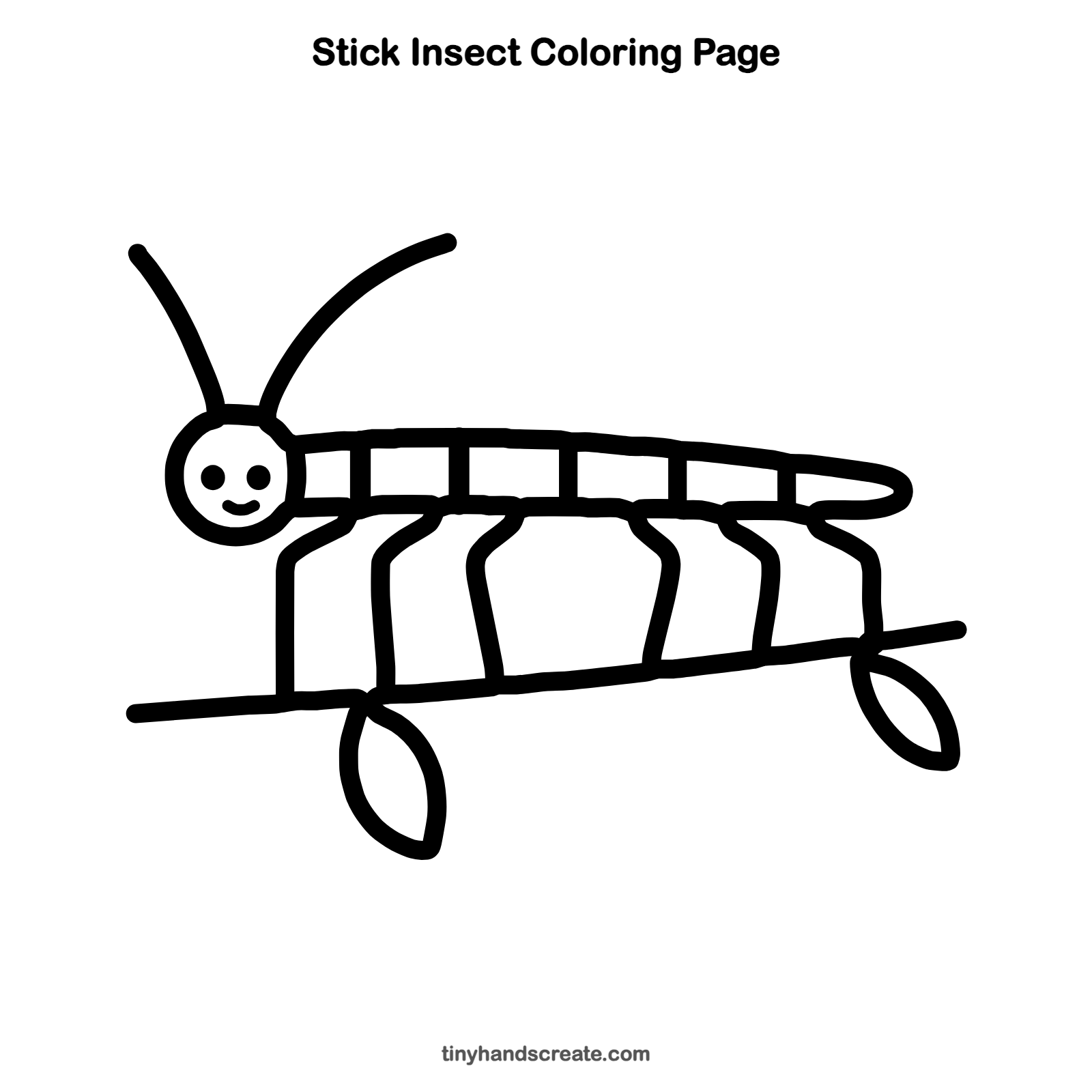 Free printable stick insect coloring page for kids
