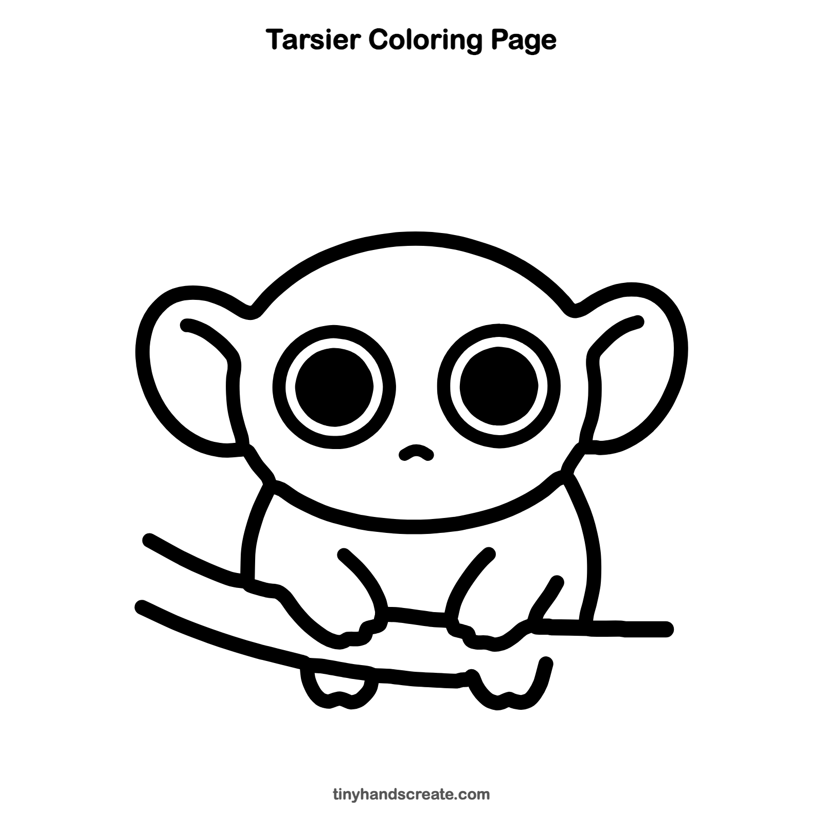 Free printable tarsier coloring page for kids