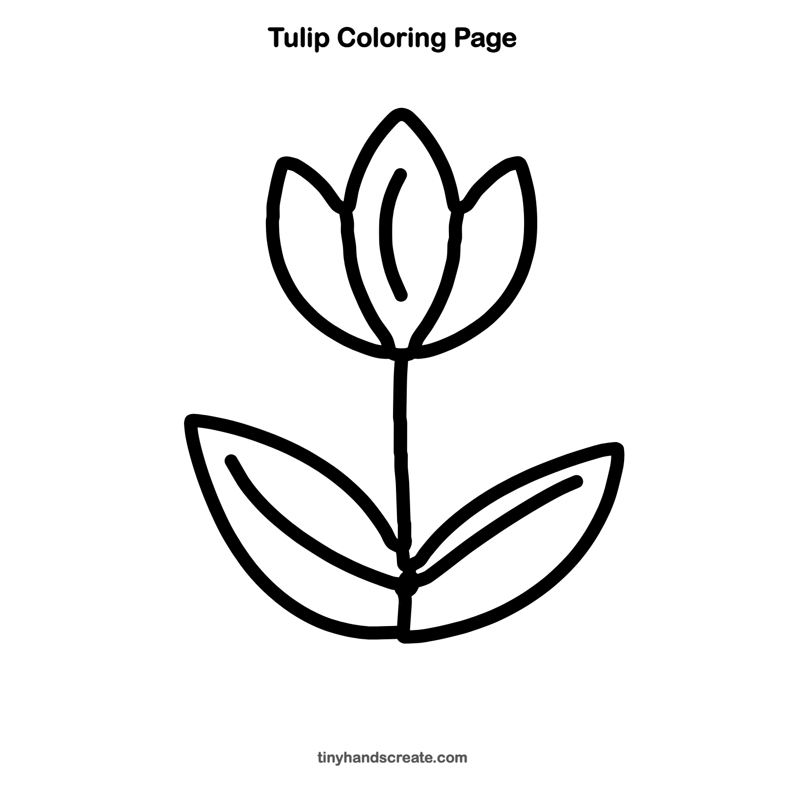 Free printable tulip coloring page for kids