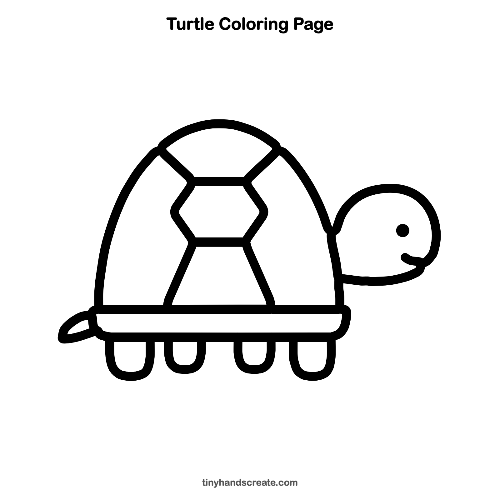 Free printable turtle coloring page for kids