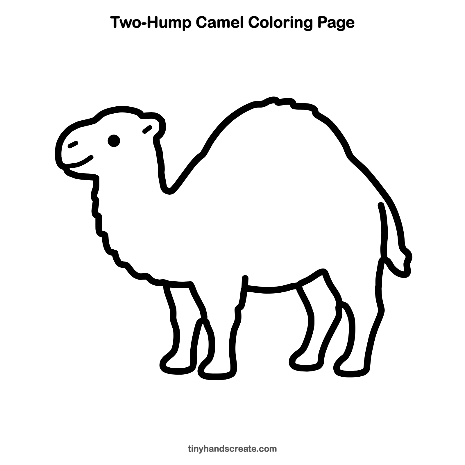 Free printable two-hump camel coloring page for kids