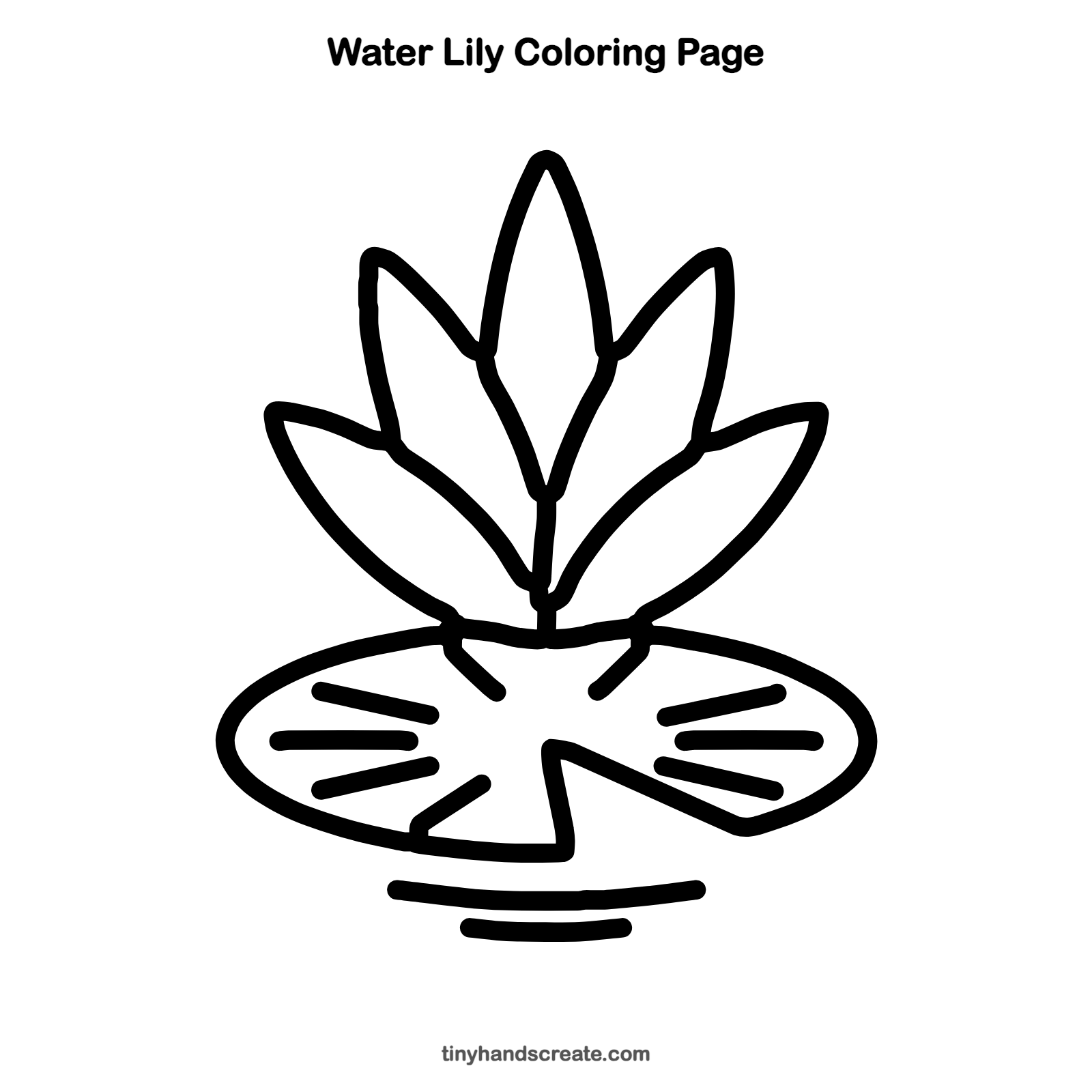 Free printable water lily coloring page for kids
