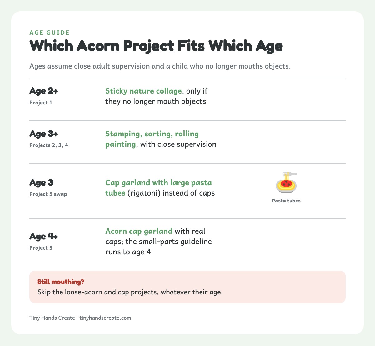 Age ladder showing which acorn projects suit ages 2, 3 and 4 and up
