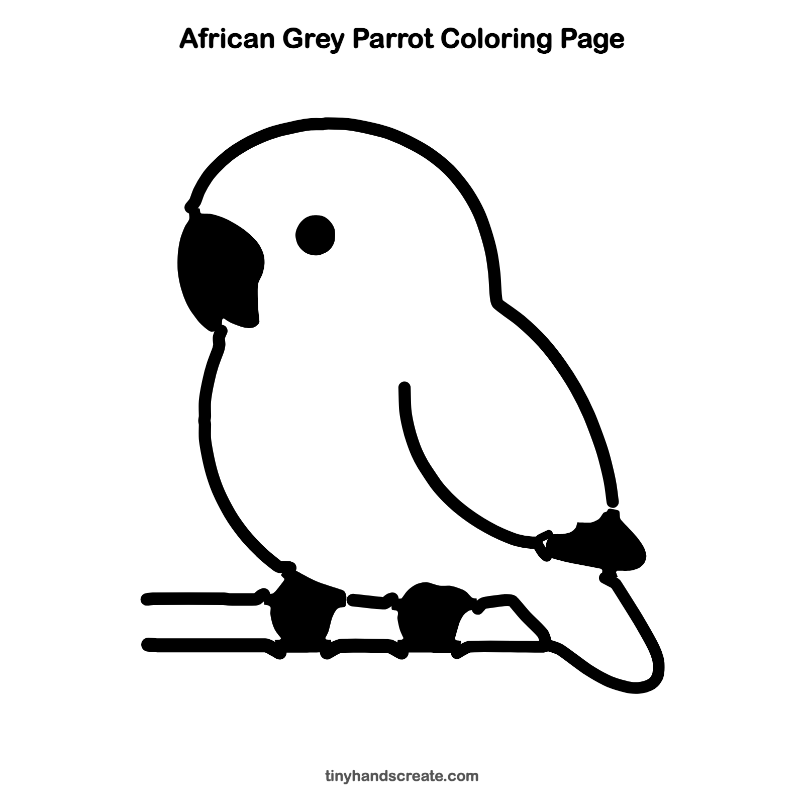Simple Feather Drawing How to Draw an African Grey Parrot: Easy Step by Step for Kids