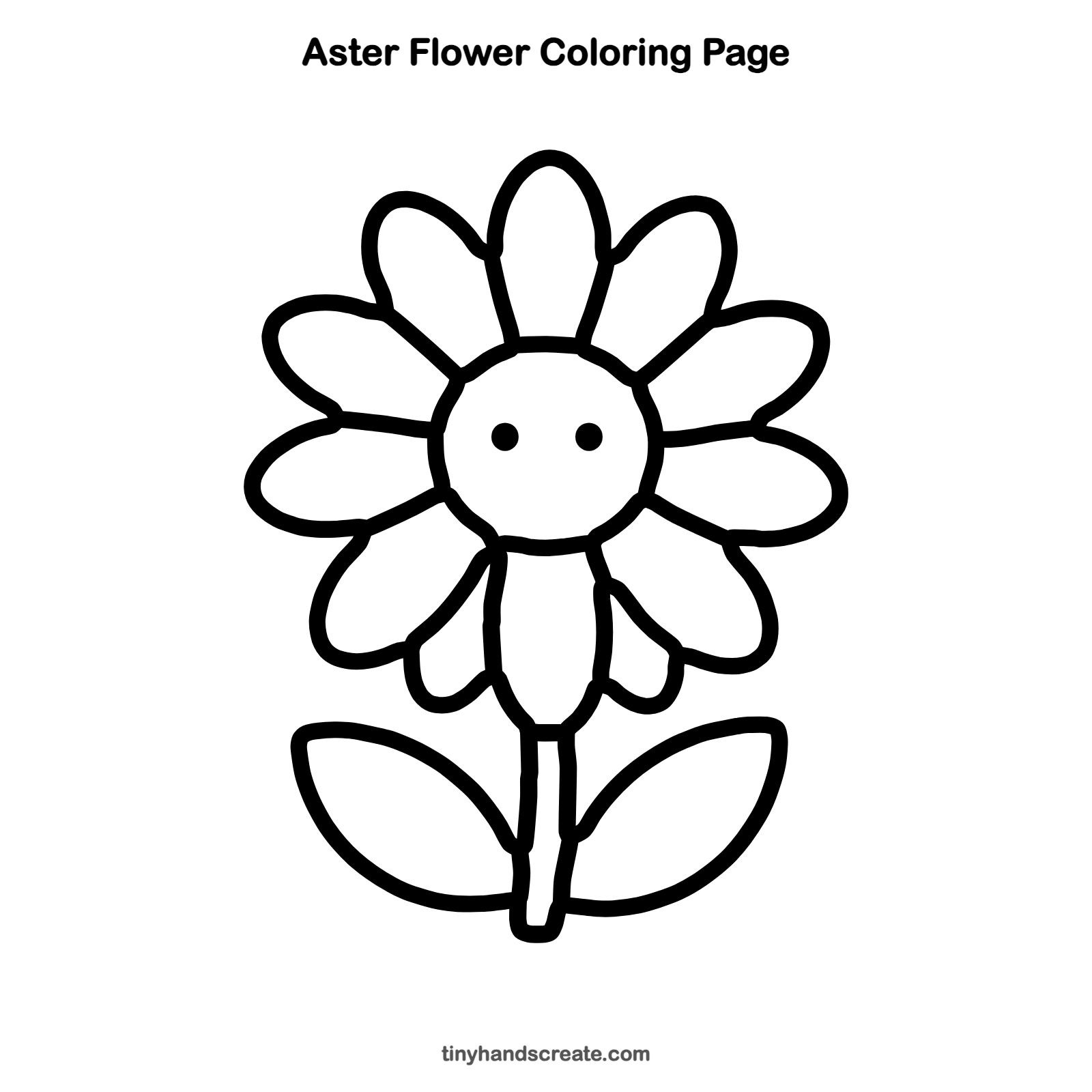 Free printable aster flower coloring page for kids