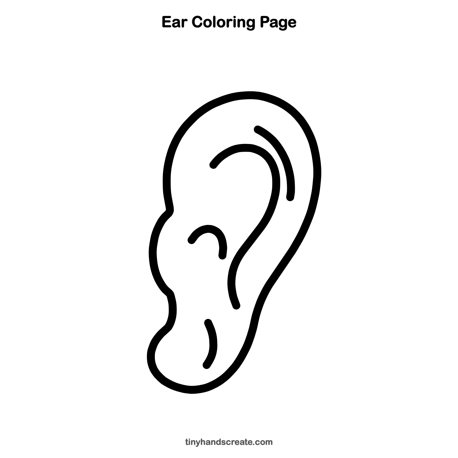 Free printable ear coloring page for kids