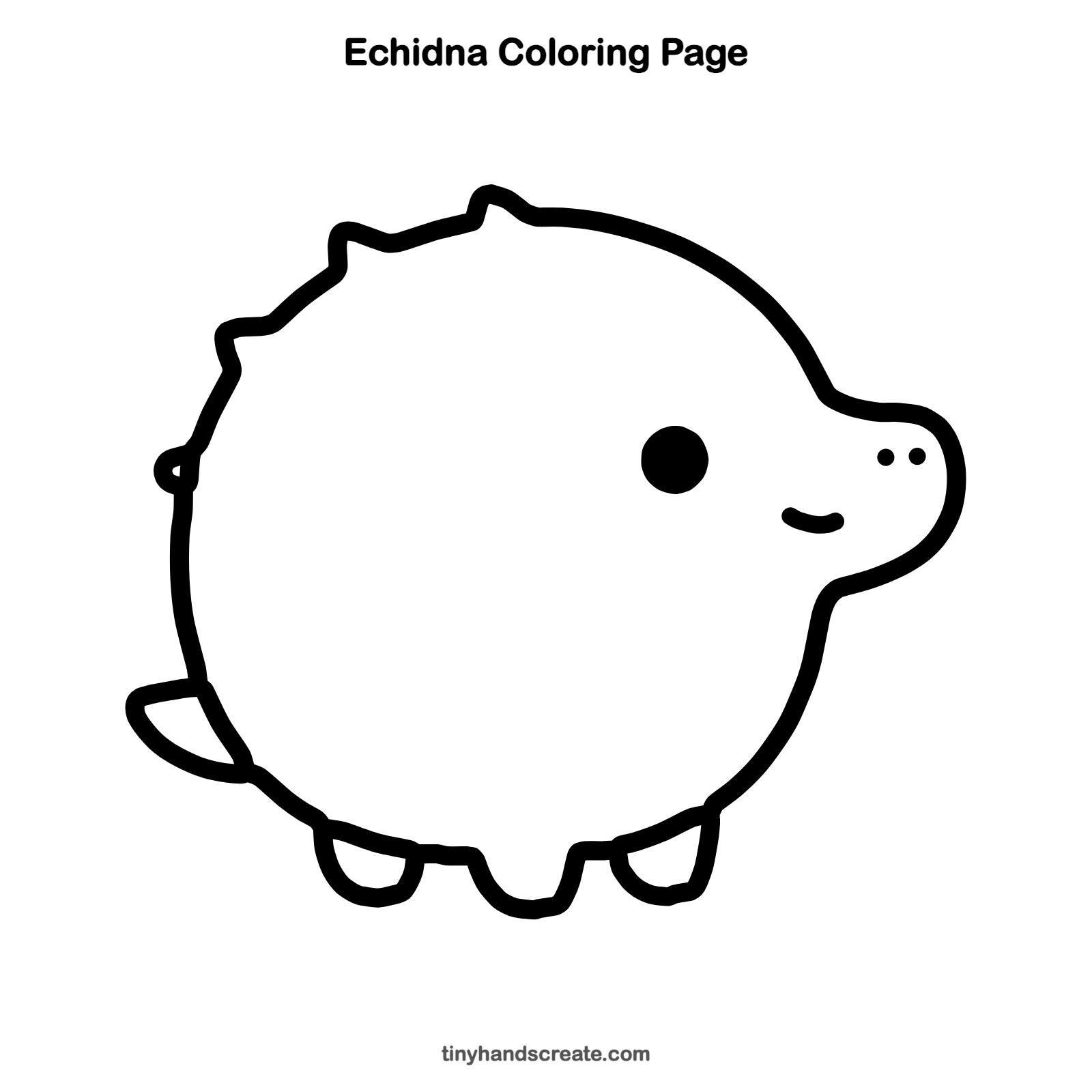 Free printable echidna coloring page for kids
