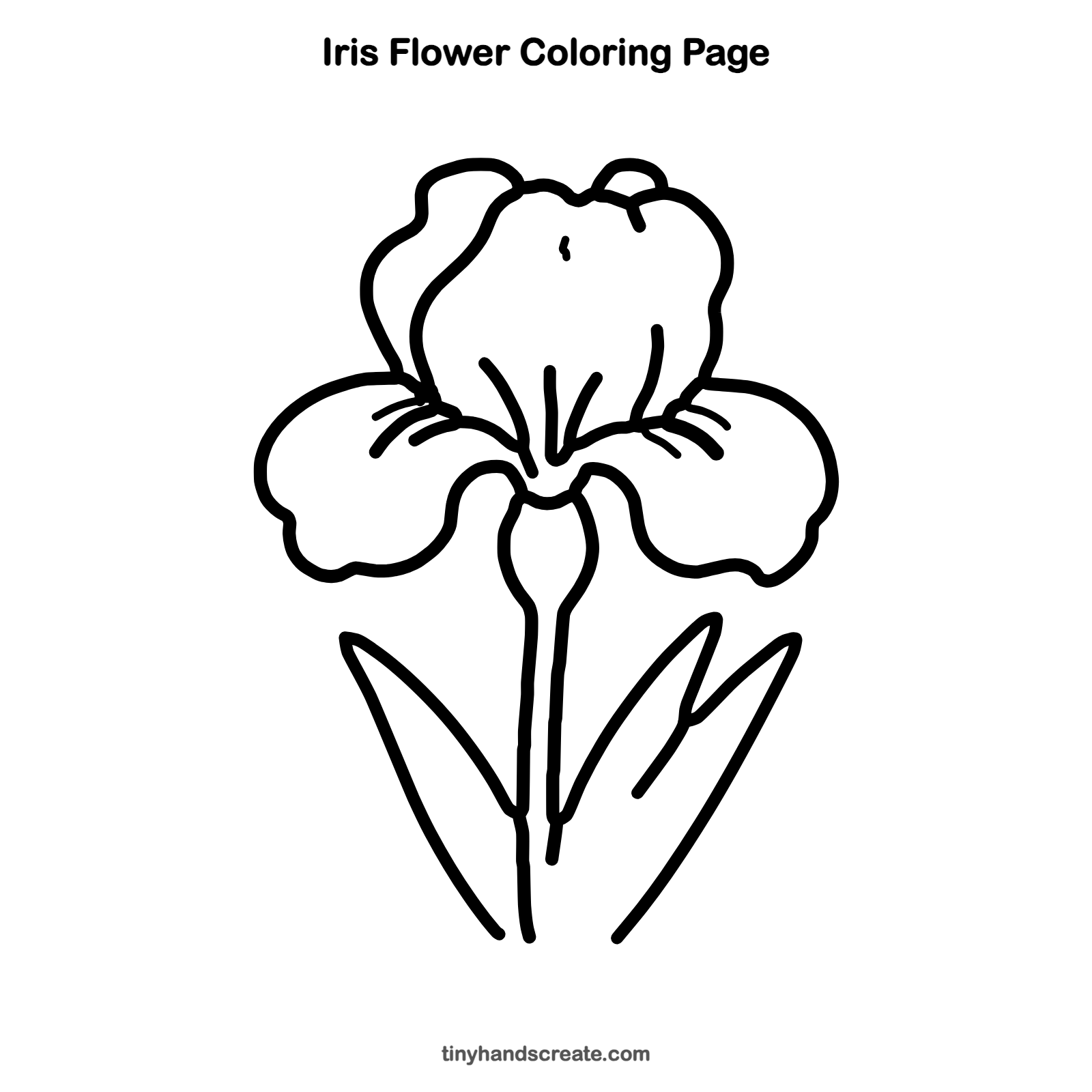 Free printable iris flower coloring page for kids