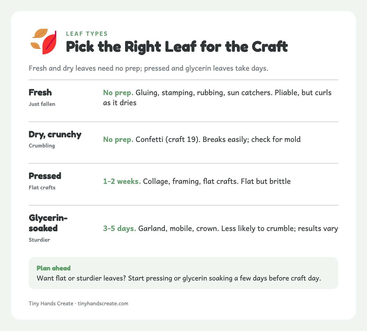 Info card comparing fresh, dry, pressed and glycerin-soaked leaves by best use and prep time