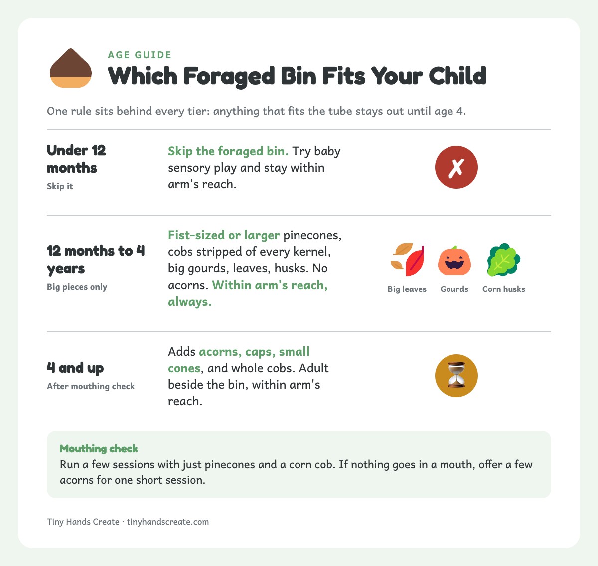Three age stages for a foraged fall bin: skip under 12 months, big pieces 12 months to 4, acorns at 4 and up