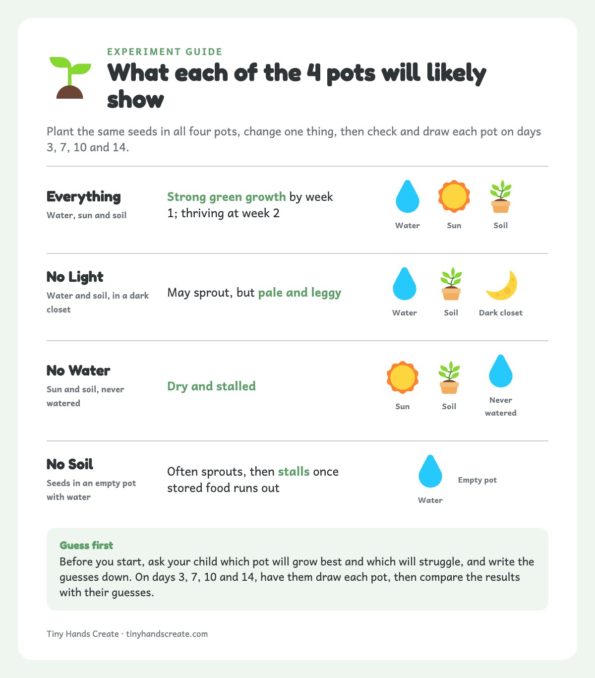 Comparison of four pots: everything, no light, no water, no soil, with what each likely shows