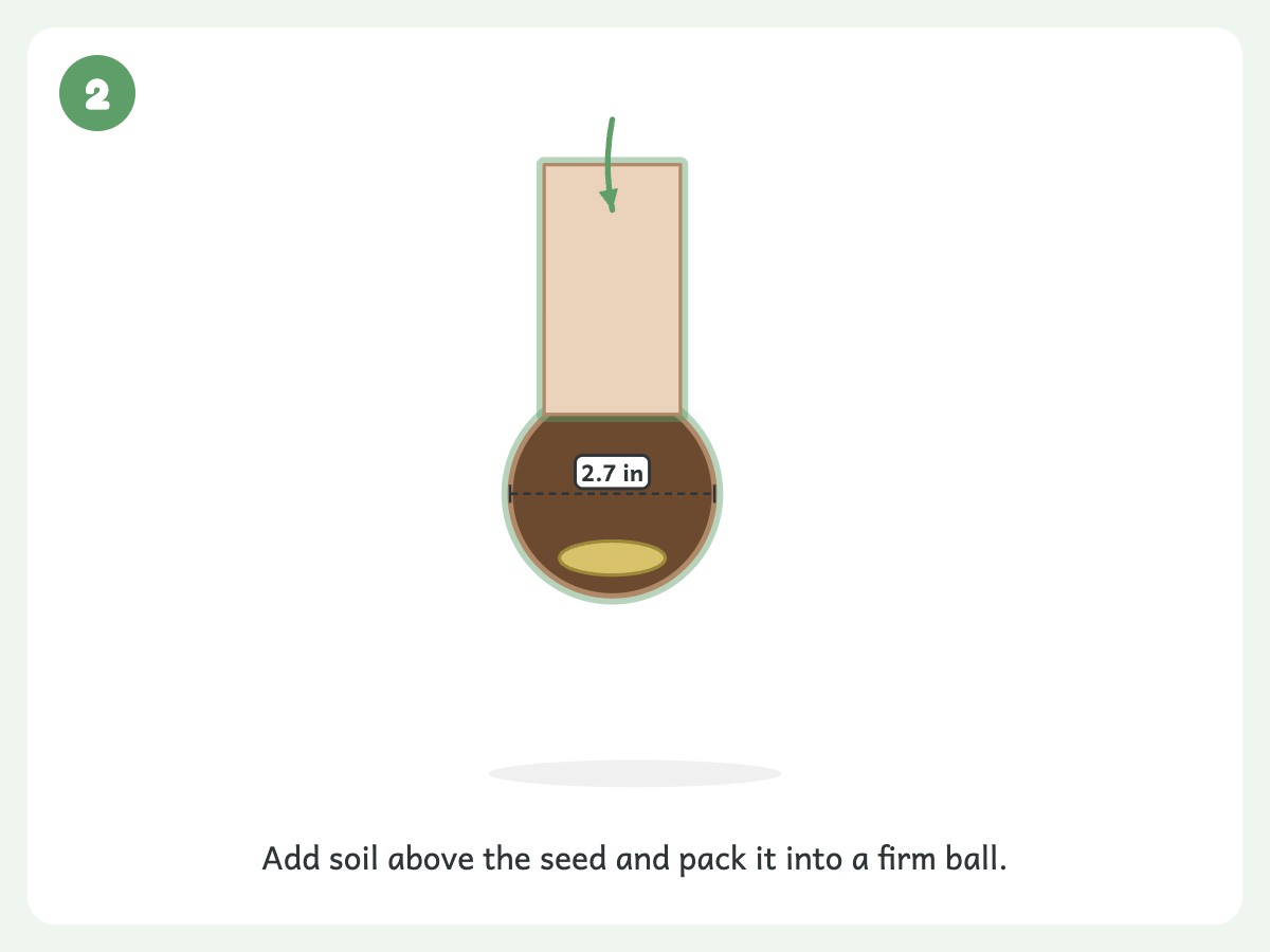 Step 2: Pack in potting soil until the ball is about tennis-ball size