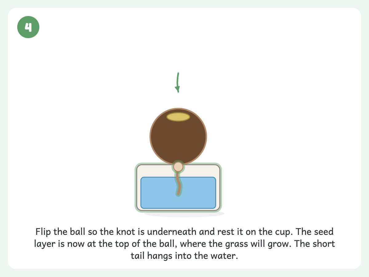 Step 4: Set it on a cup of water with the stocking tail hanging in like a wick