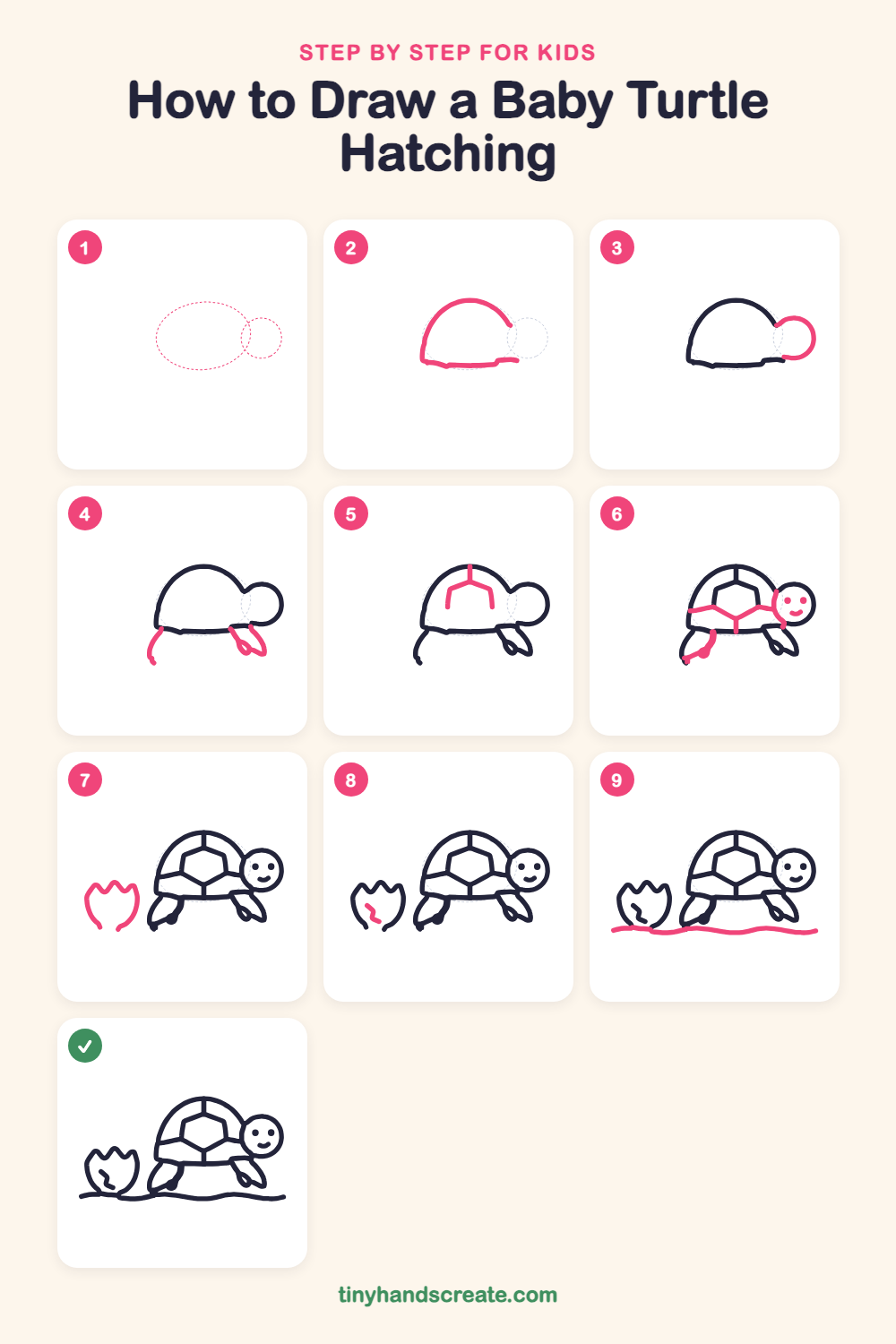 How to draw a baby turtle hatching step by step for kids