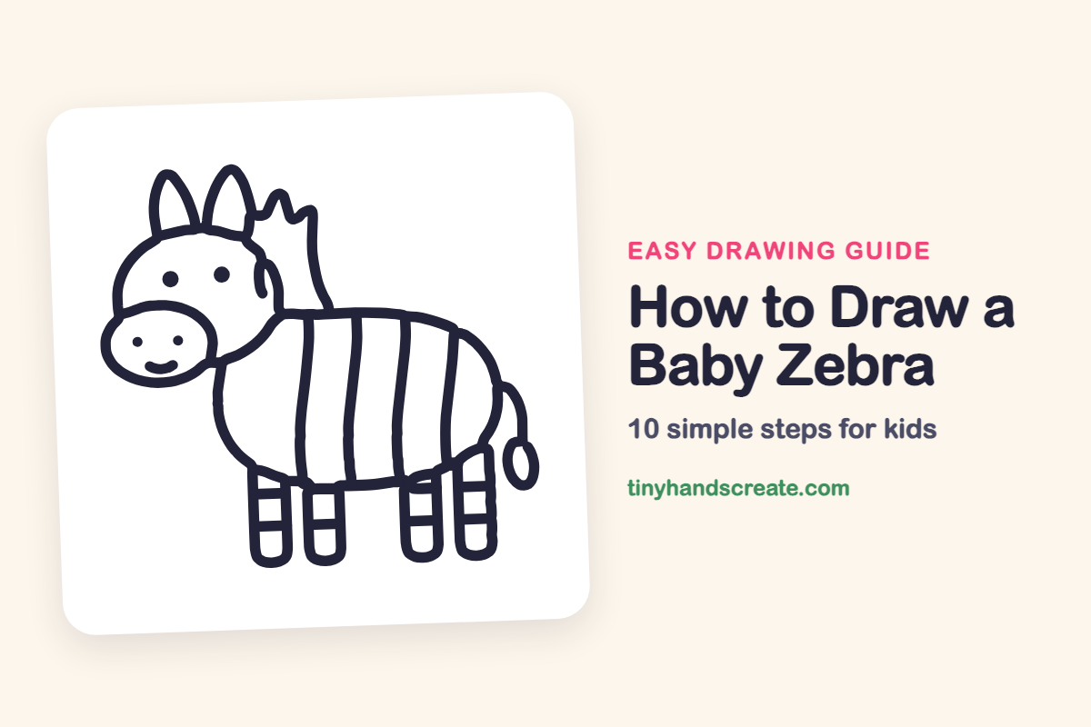 How to Draw a Baby Zebra: easy drawing guide for kids