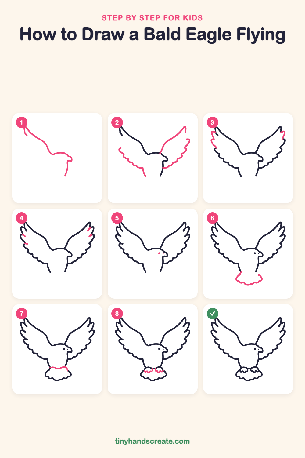 Simple Feather Drawing How to Draw a Bald Eagle Flying: Easy Step by Step for Kids