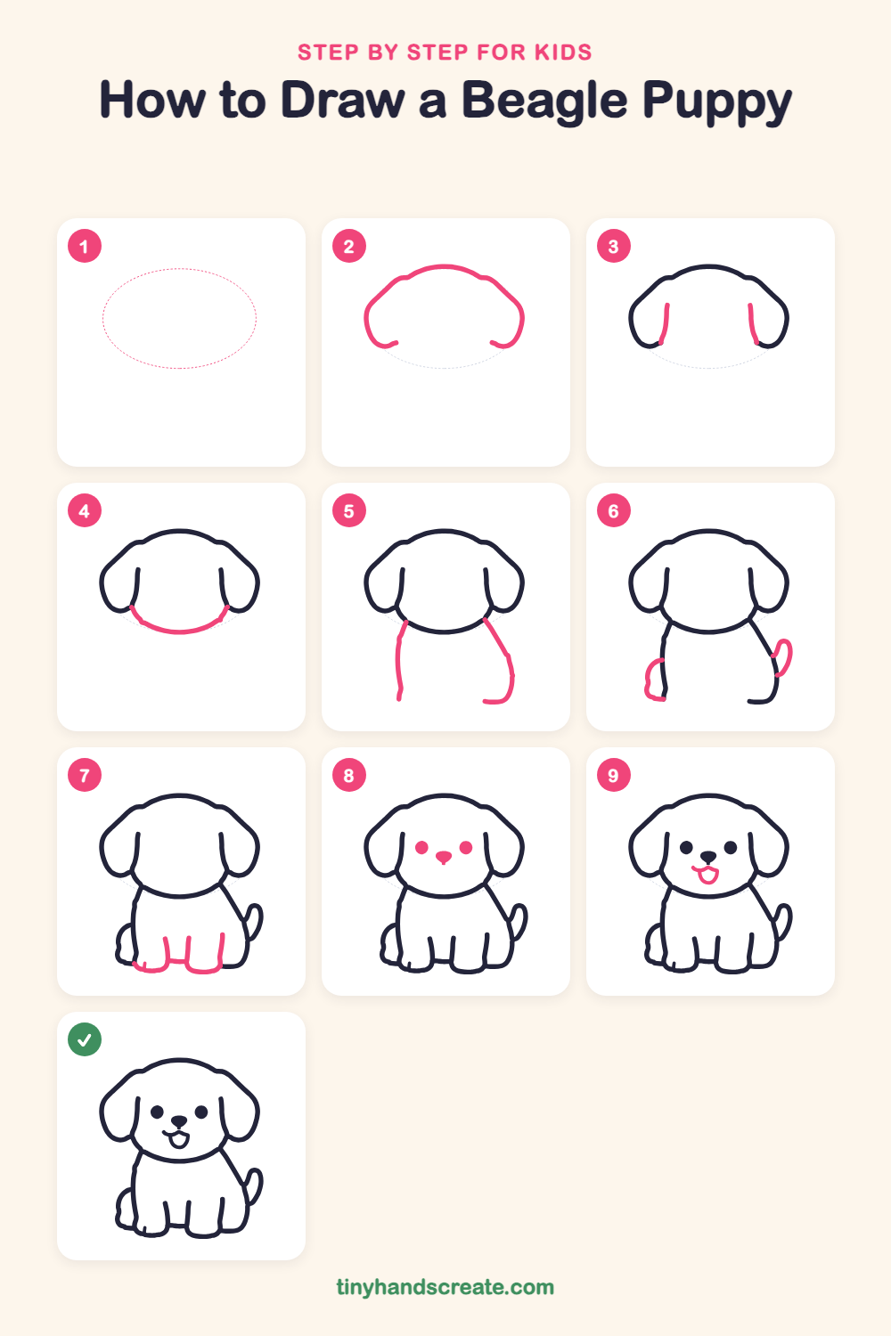 How to draw a beagle puppy step by step for kids