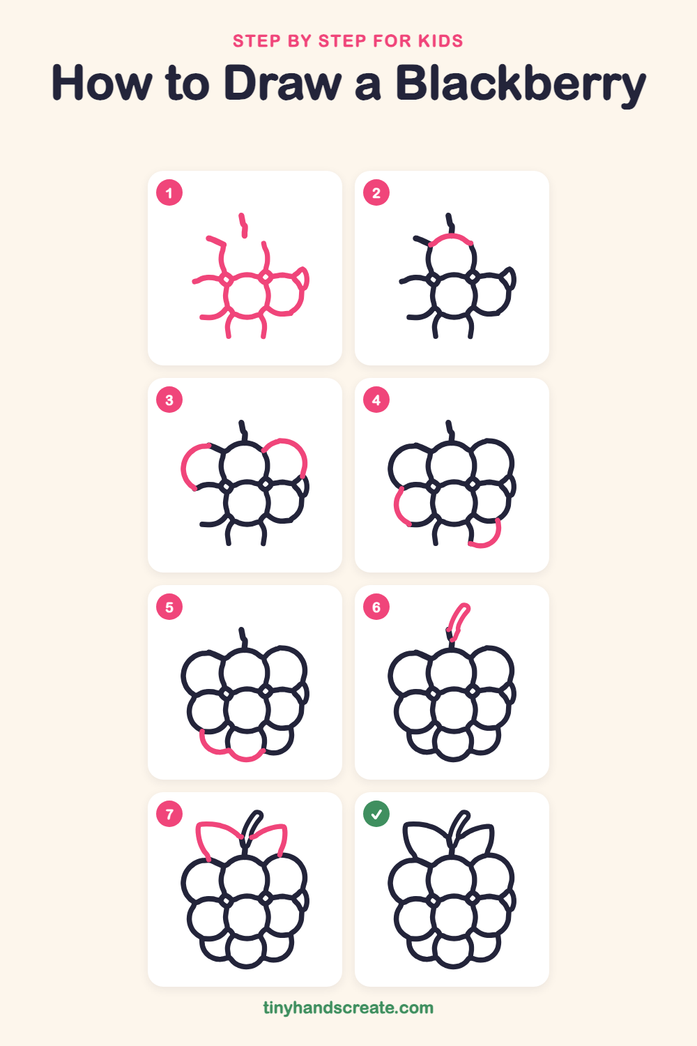 How to draw a blackberry step by step for kids