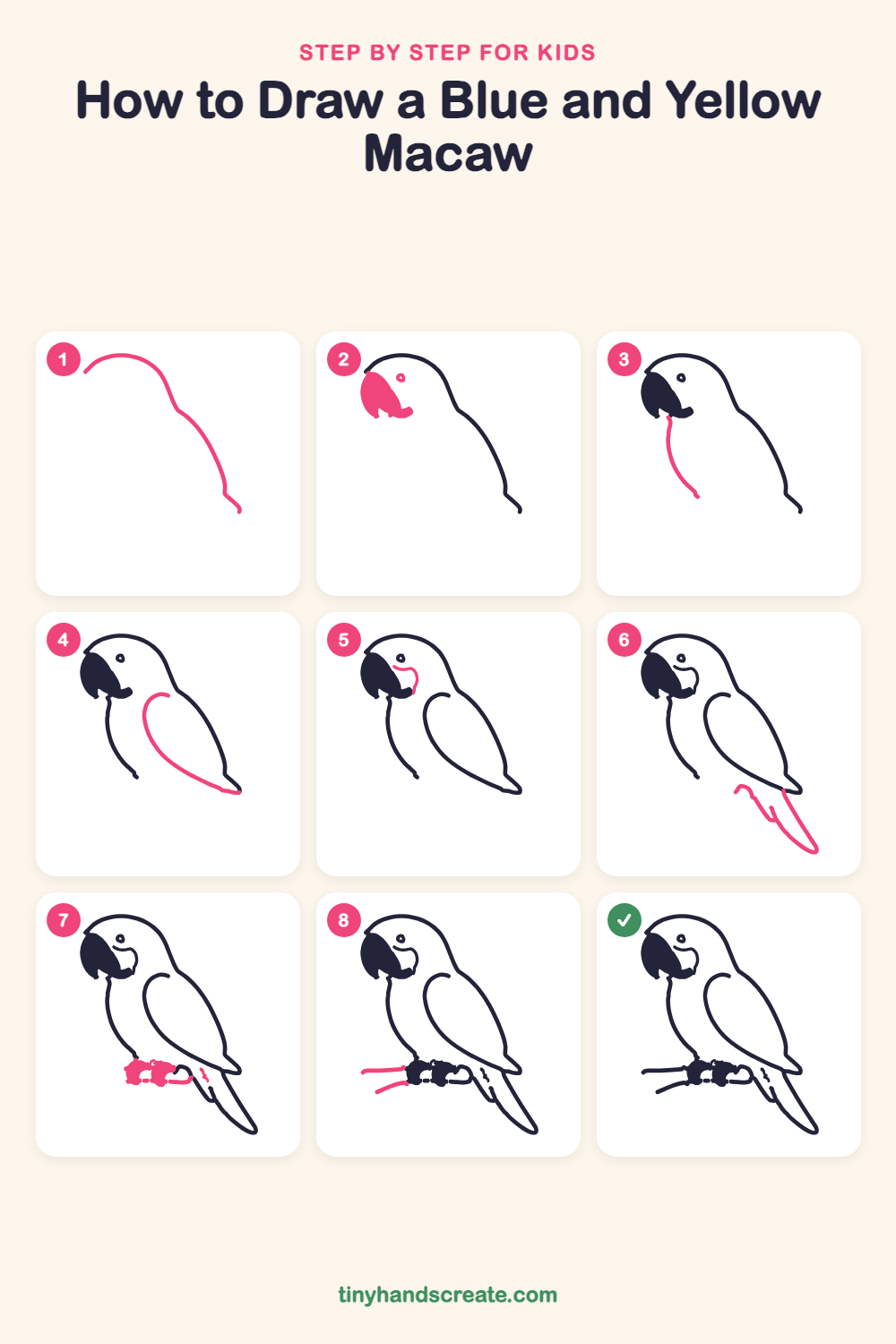 How to draw a blue and yellow macaw step by step for kids